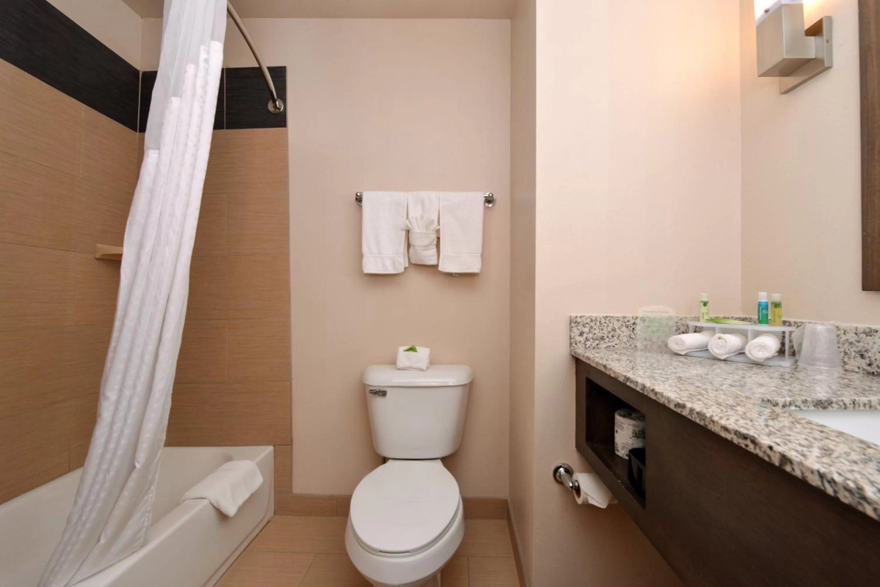 Bathroom in Holiday Inn Express & Suites Globe by IHG