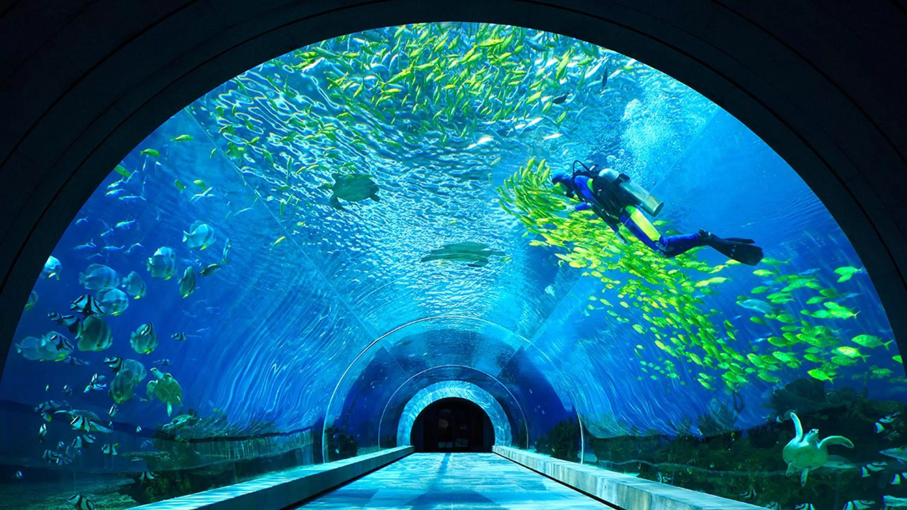 Restaurant/places to eat in InterContinental Sanya Haitang Bay Resort by IHG