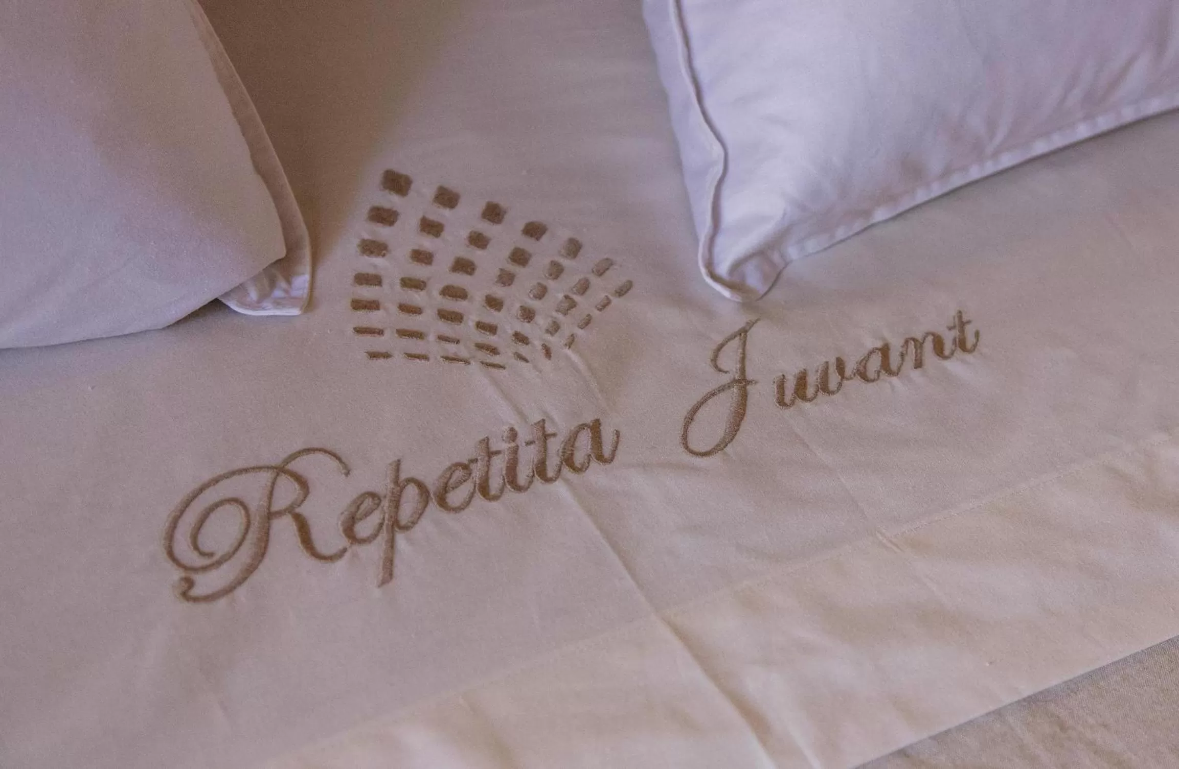 Property logo or sign, Bed in Repetita Juvant