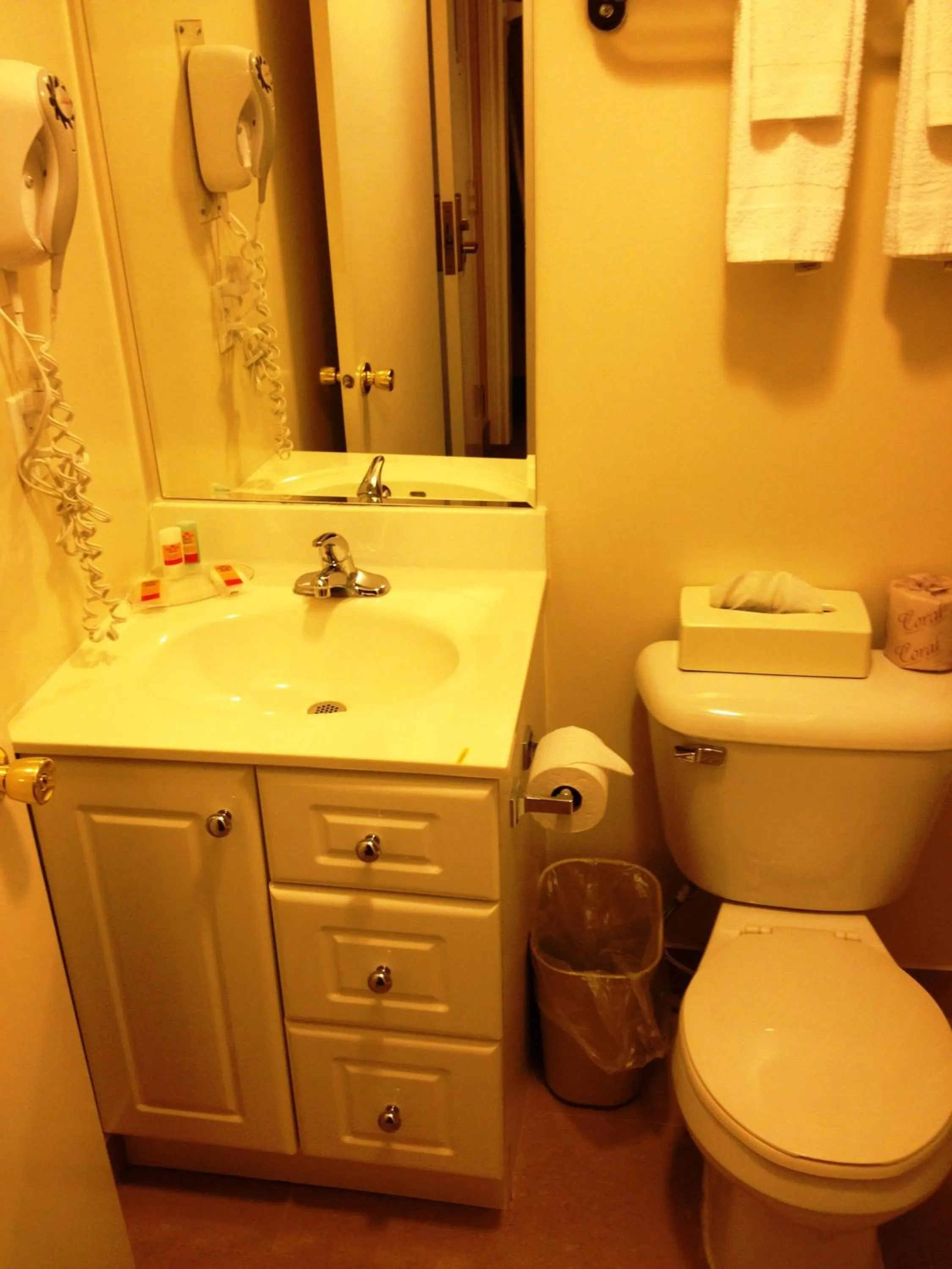 Toilet in Woodstock Inn and Suites