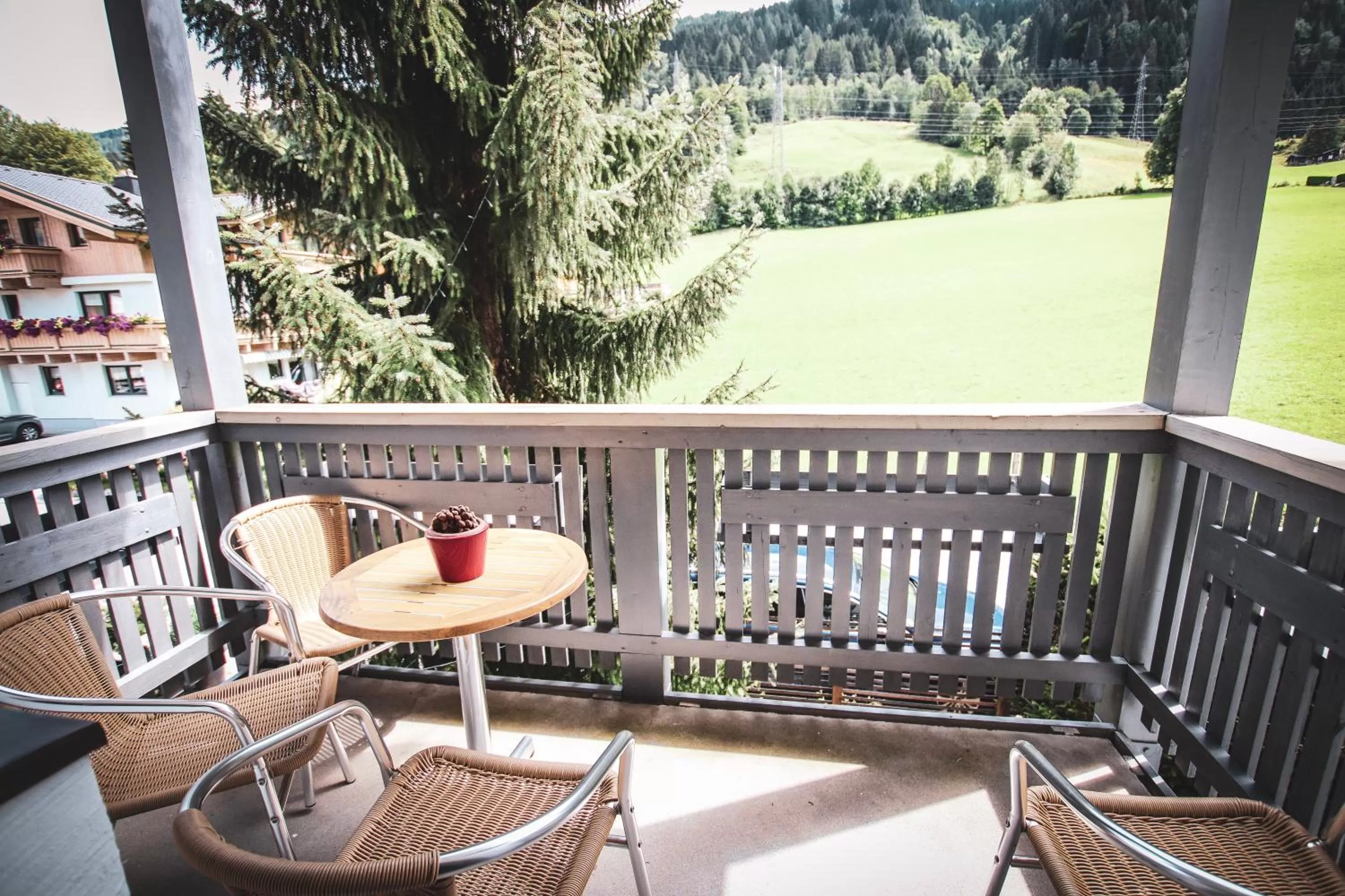 Other in ACTIVE by Leitner's