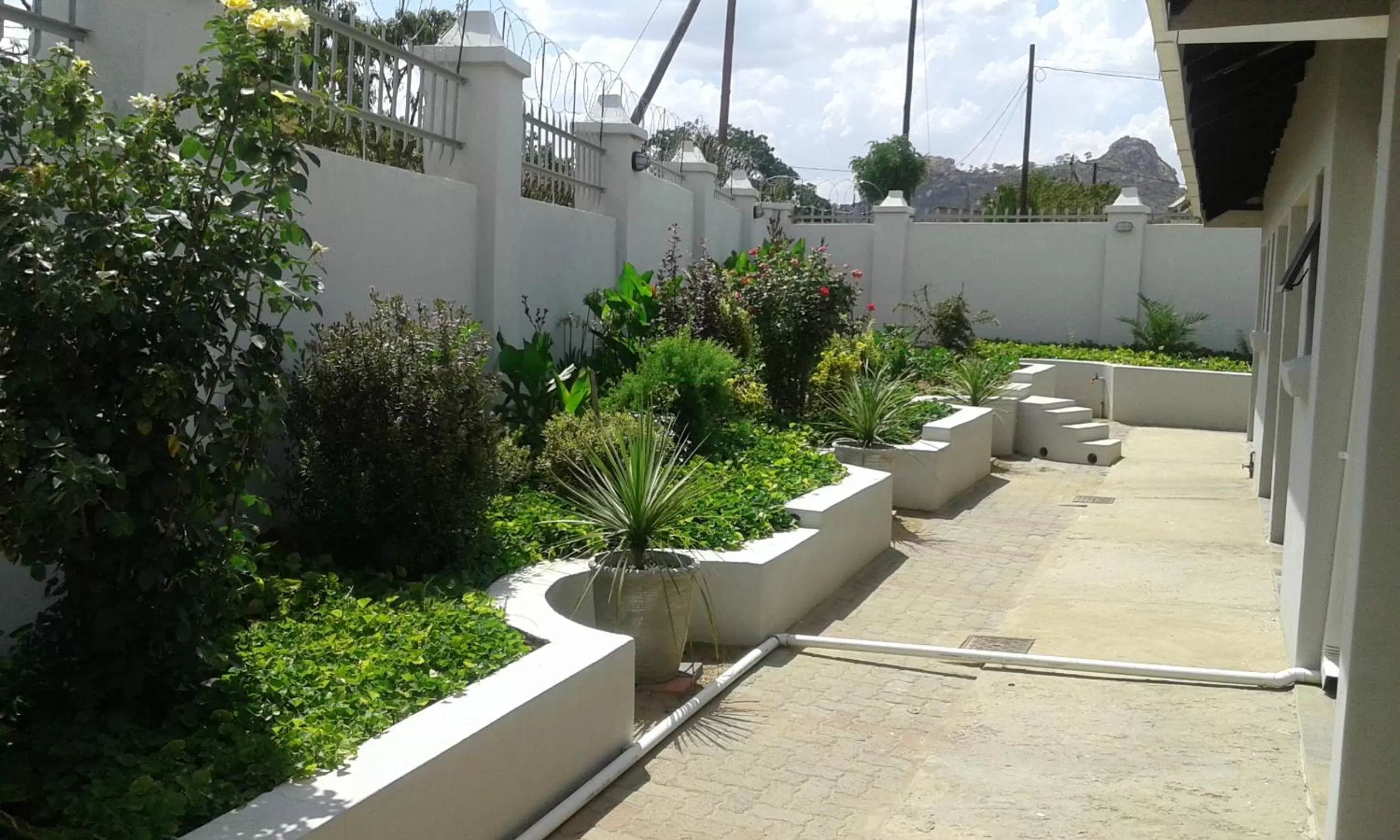 Garden in Tribute Guest House Matala