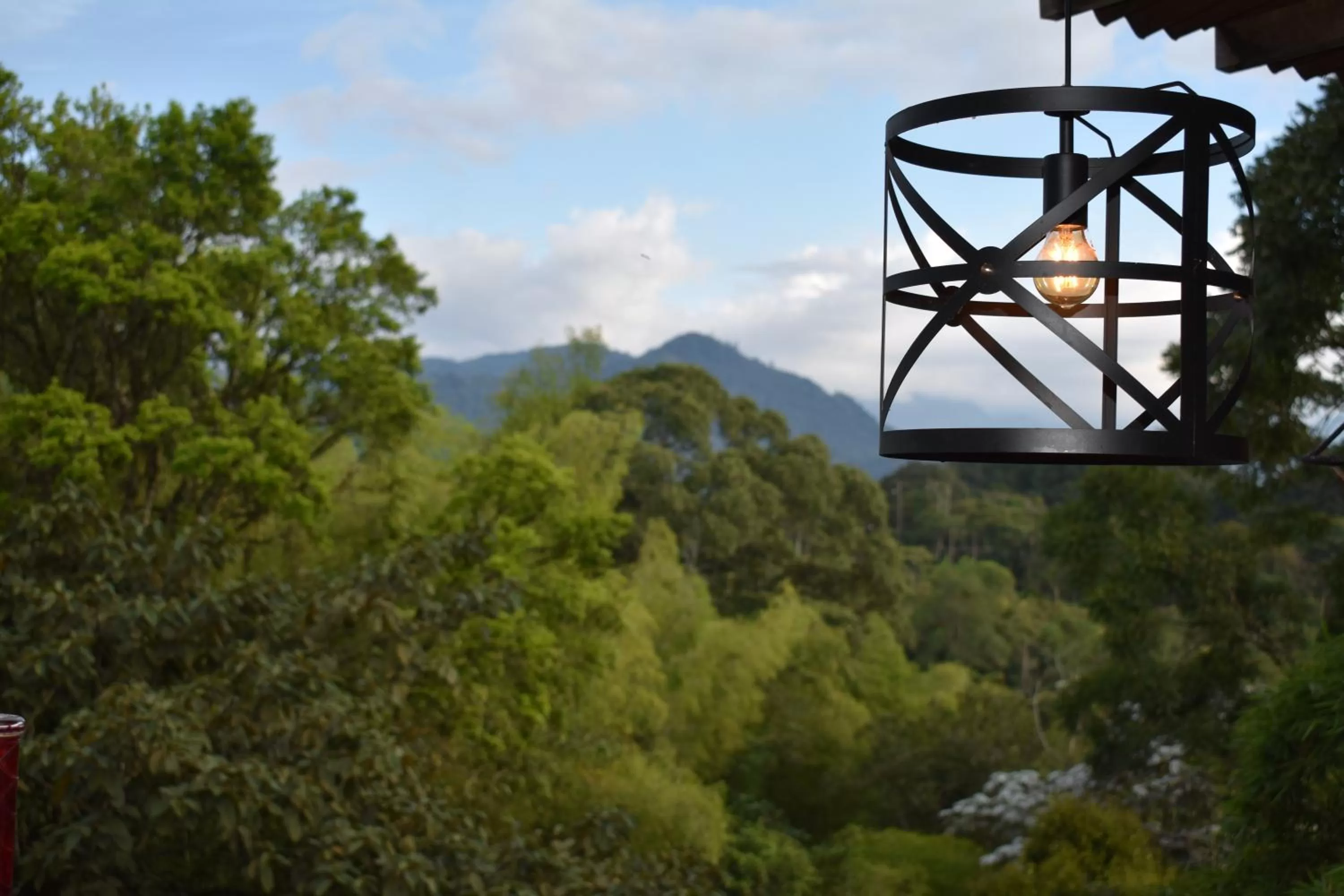 Natural landscape in Hotel Bambu Inn