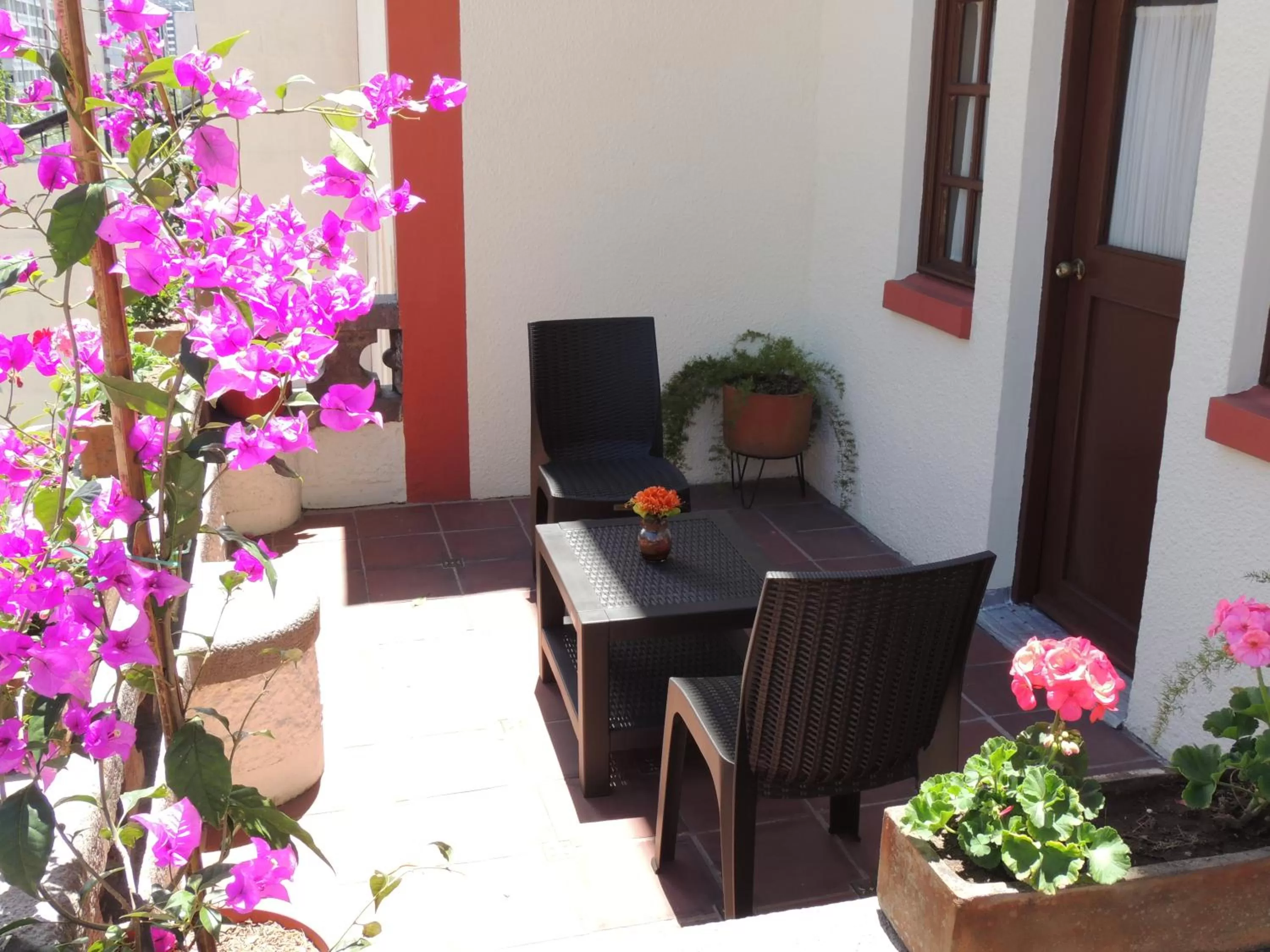 Patio in Kituandes Hotel