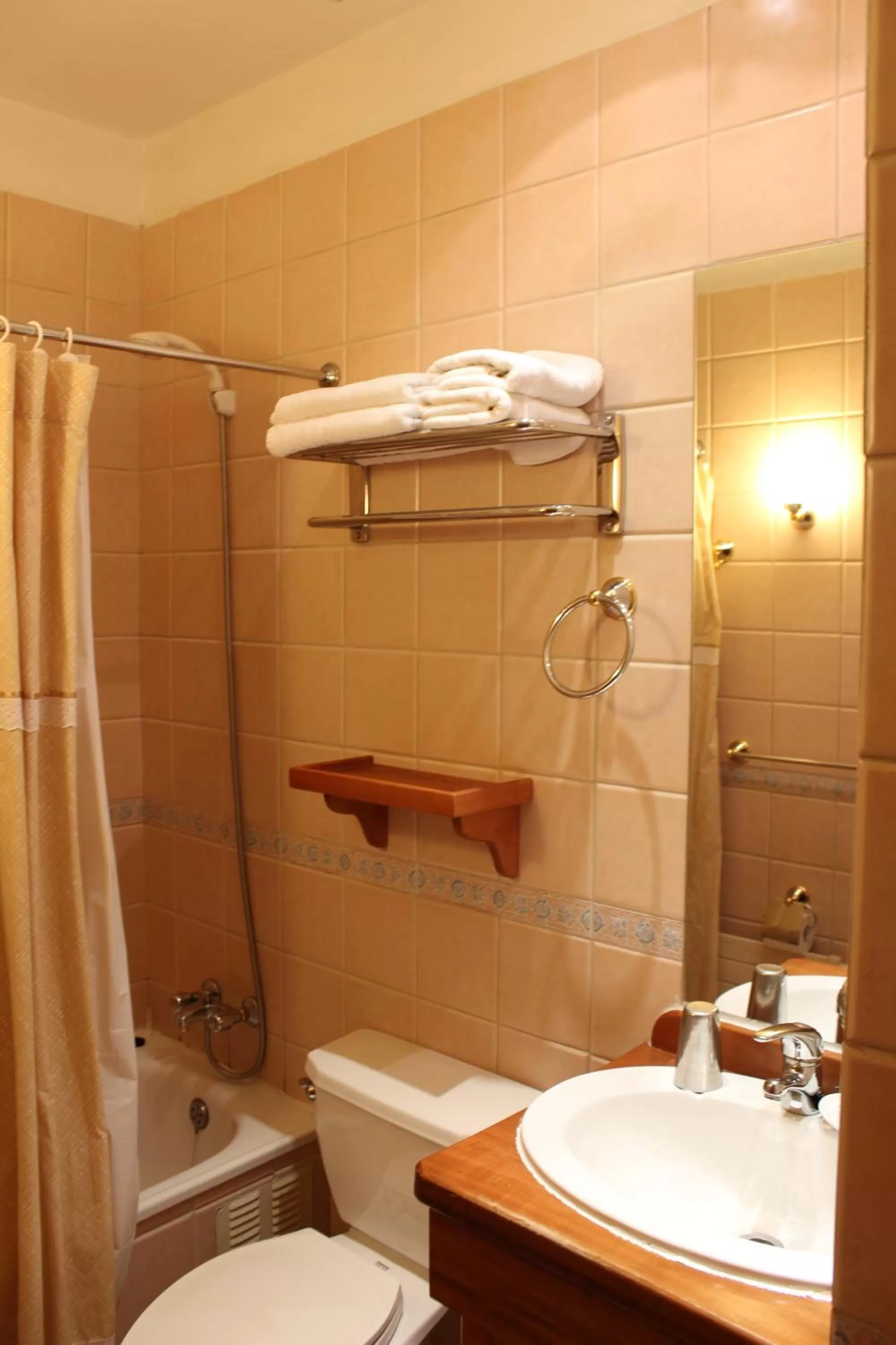 Bathroom in Hotel Malalhue