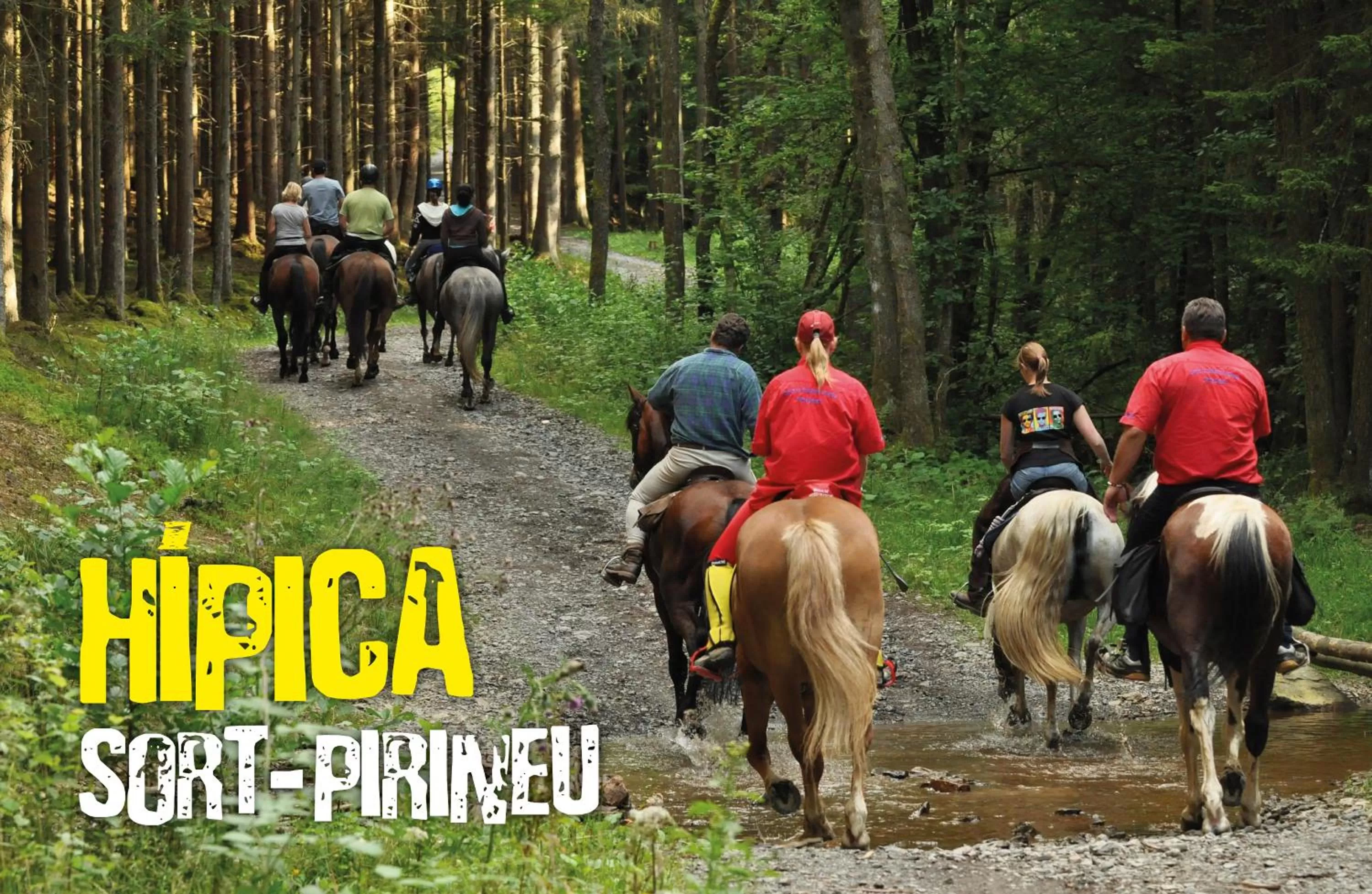 Horse-riding in Hotel Restaurant Les Brases