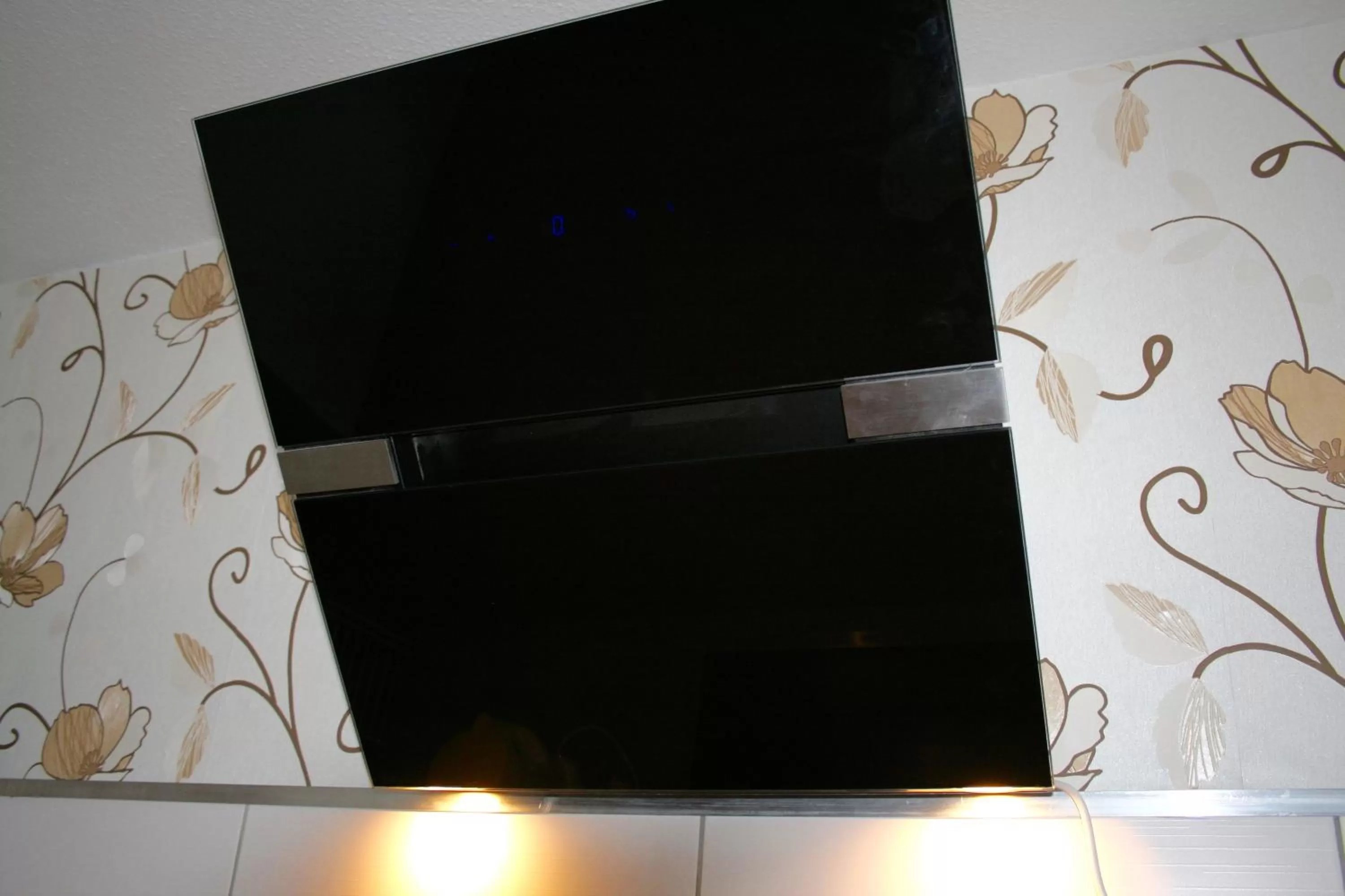 TV/Entertainment Center in Gästehaus beim Prinz