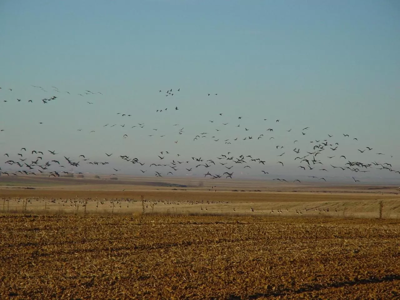 Nearby landmark in Hostal Athlanta