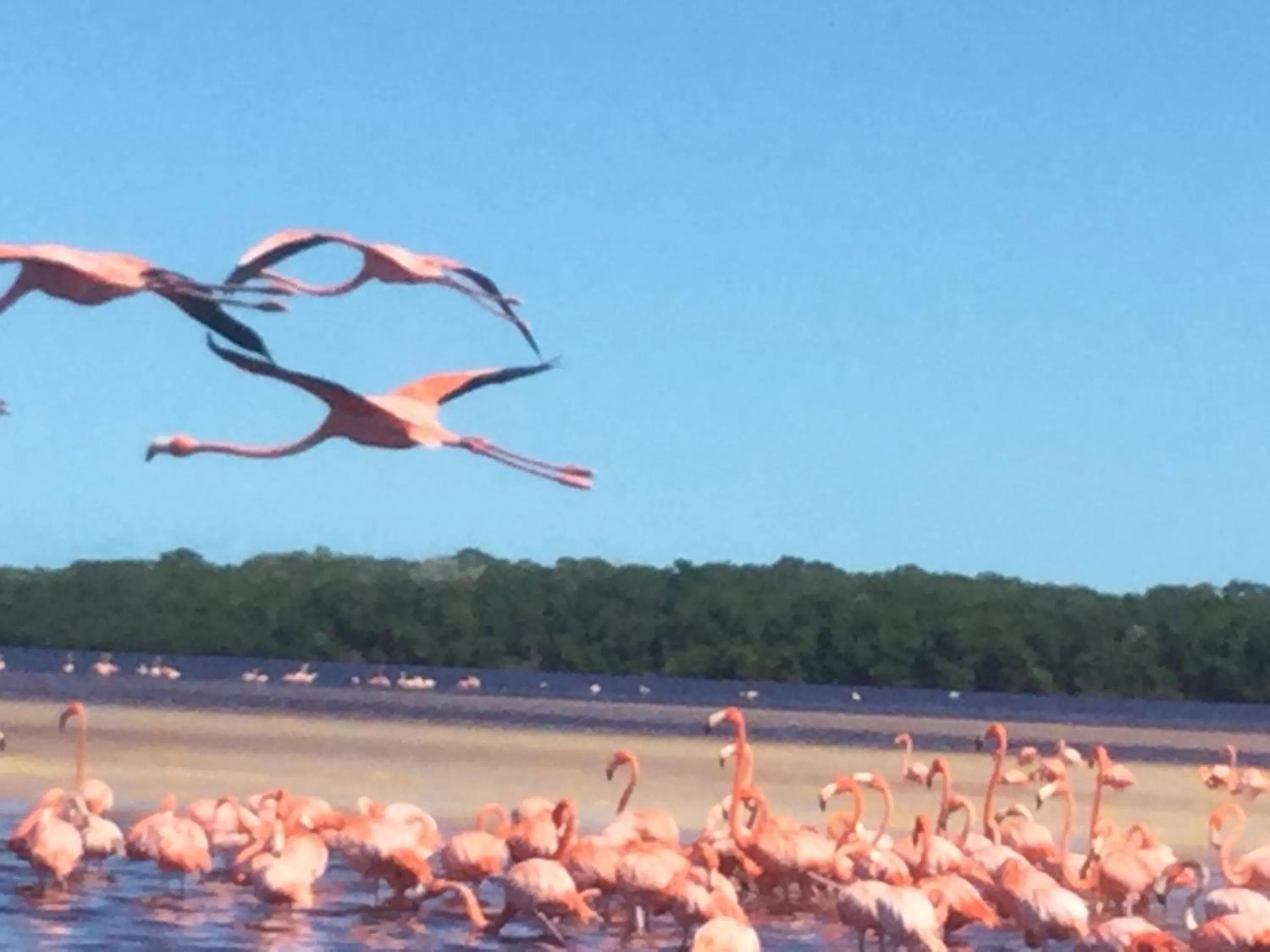 Nearby landmark in The Pickled Onion Eco-Boutique B&B