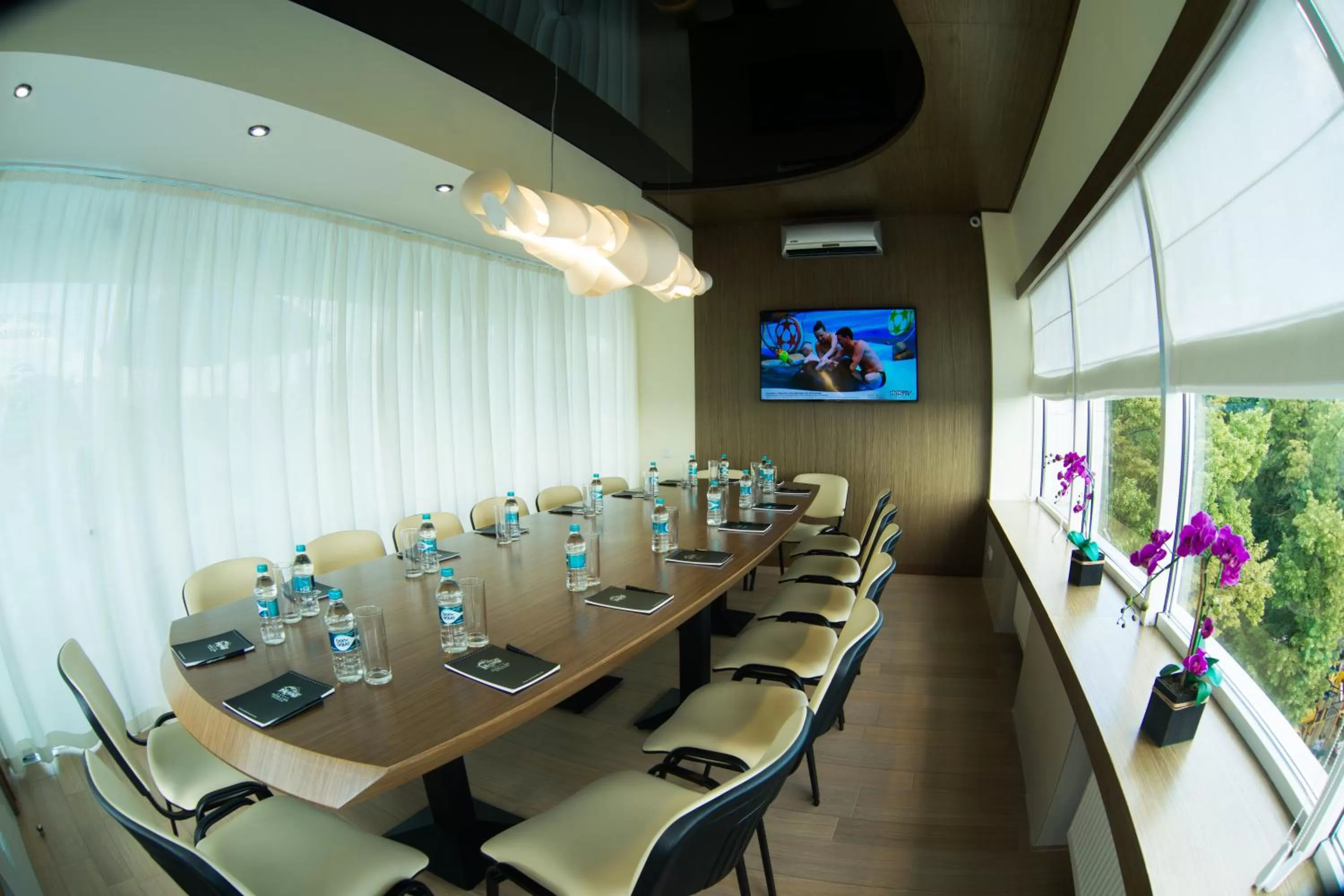 Business facilities in Hotel & Spa NEMO with dolphins