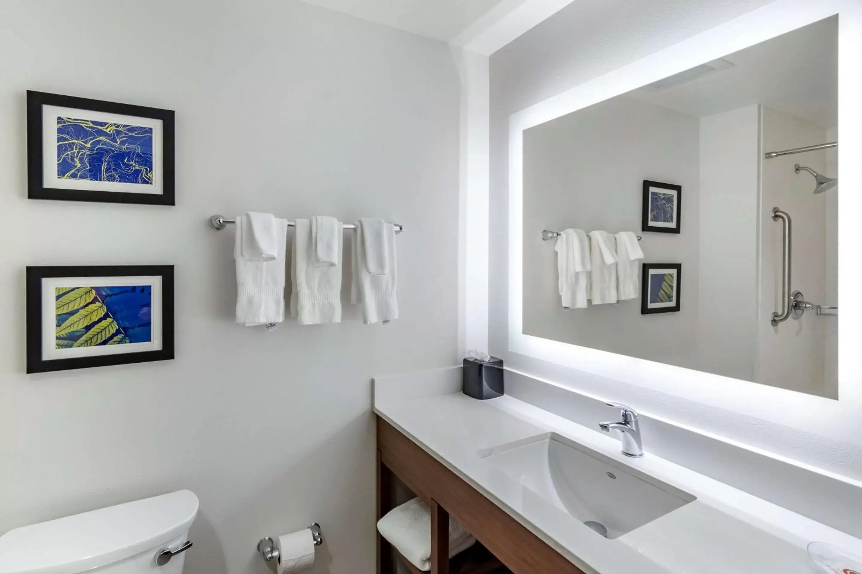 King Suite with Sofa Bed - Non-Smoking in Comfort Suites Grandview - Kansas City King Suite with Sofa Bed - Non-Smoking in Comfort Suites Grandview - Kansas City