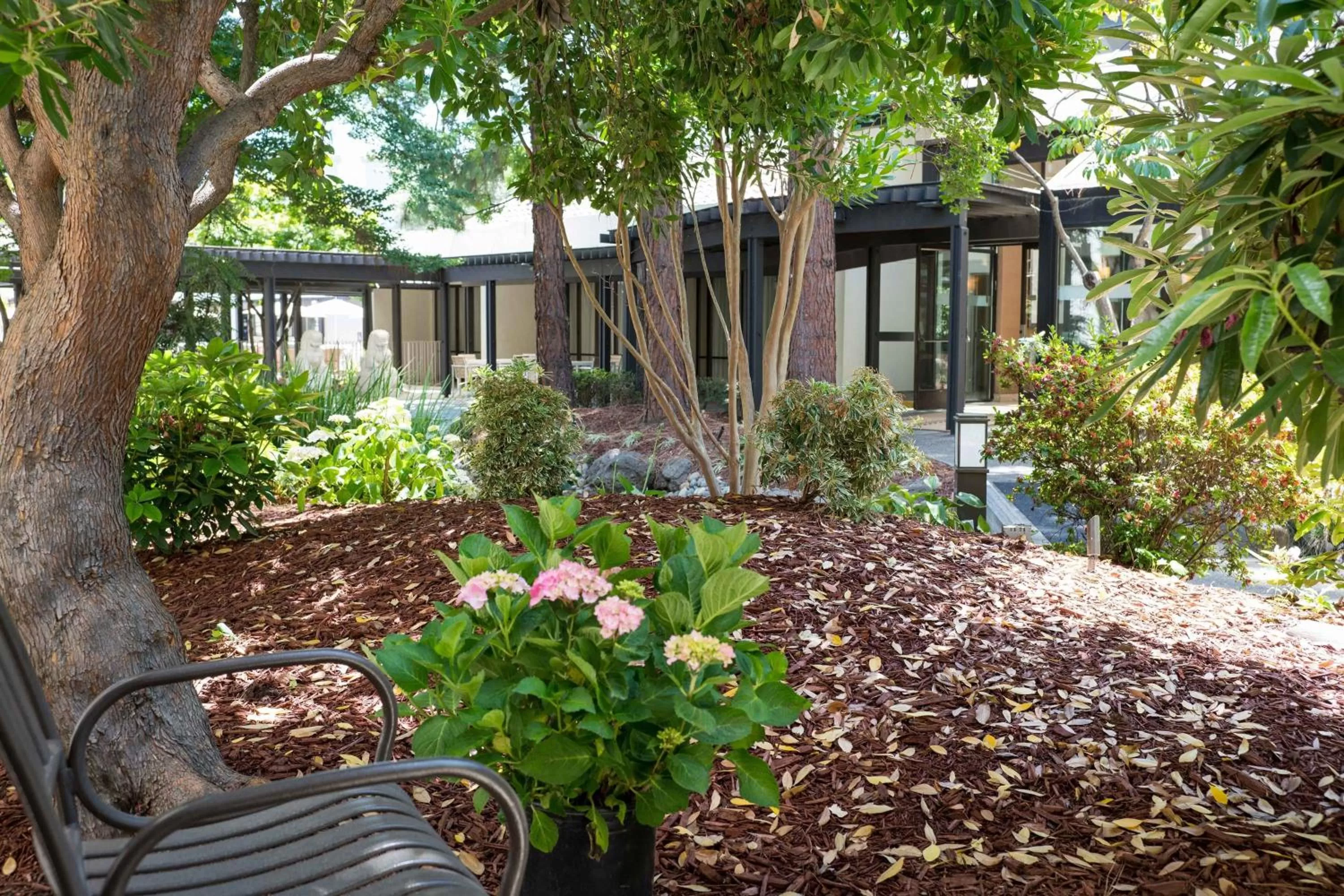 Photo of the whole room in Sheraton Palo Alto Hotel
