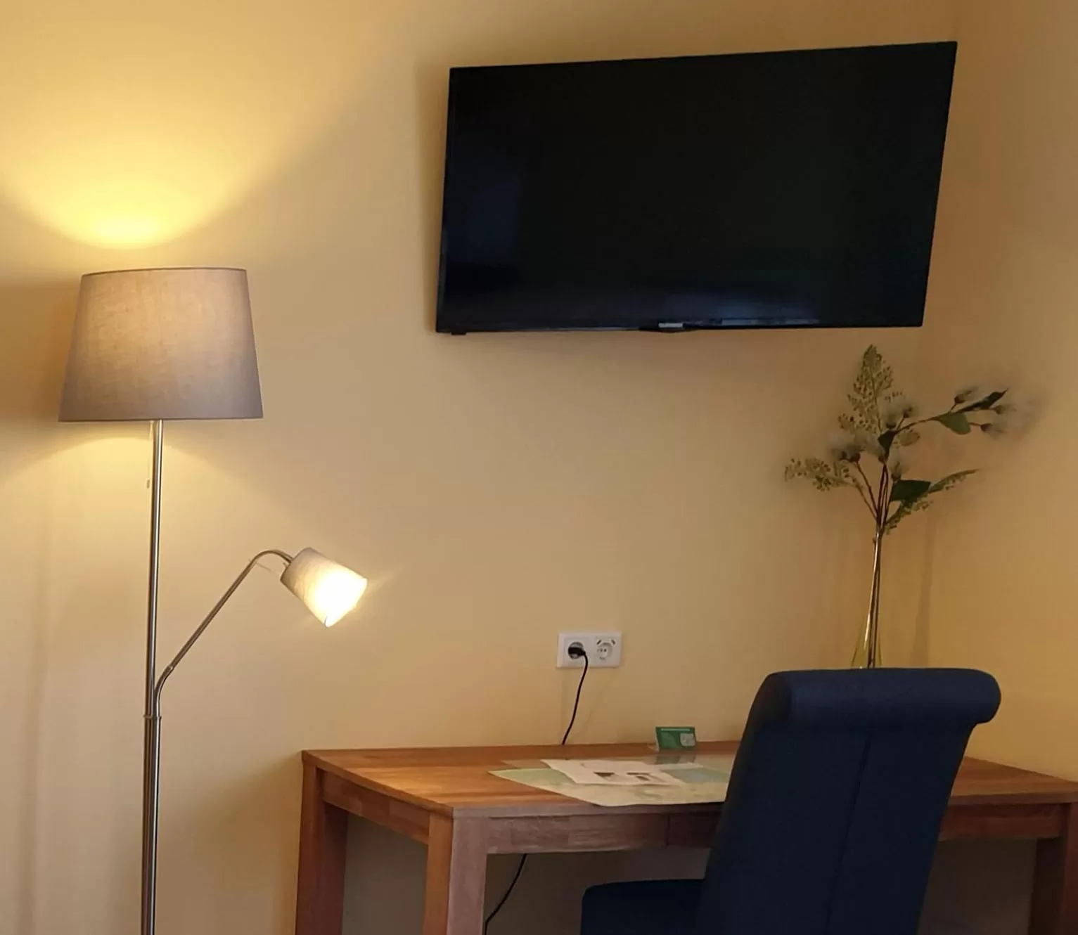 TV and multimedia in Bed and Breakfast am Höhenweg