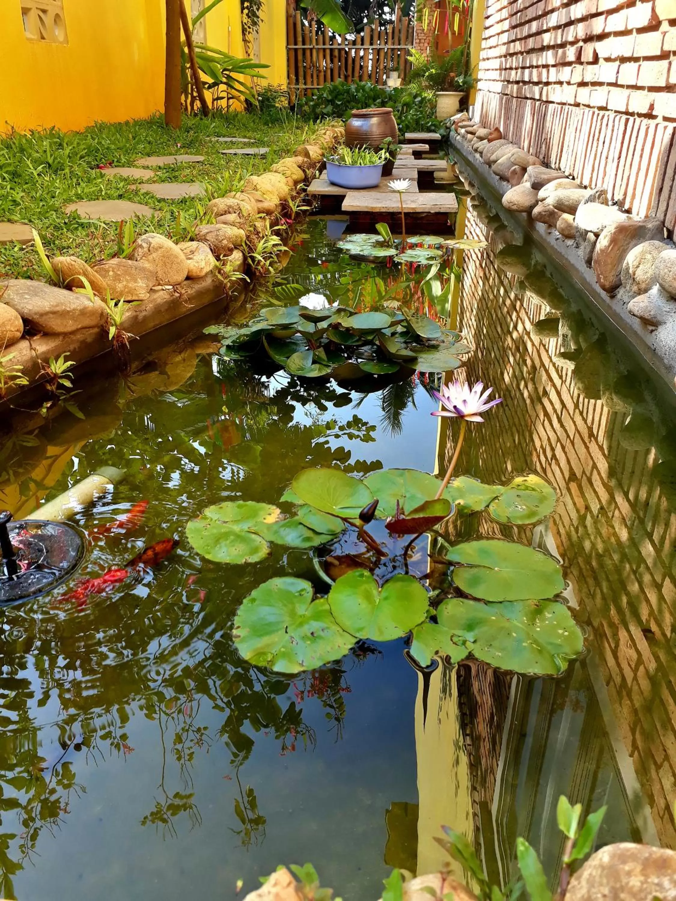 Garden in Pink Tulip Hoi An