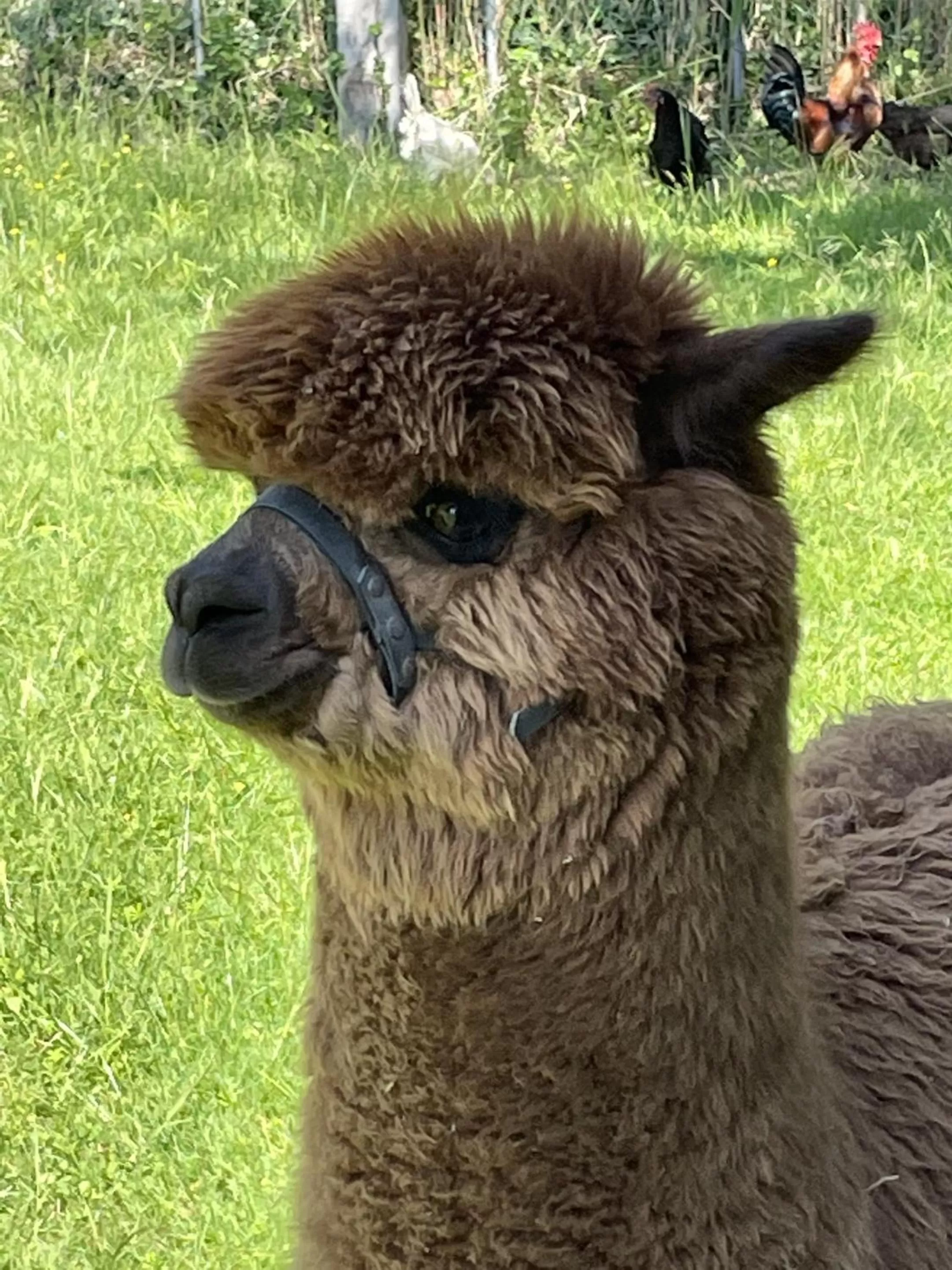 Natural landscape in Le Mas Des Chutes