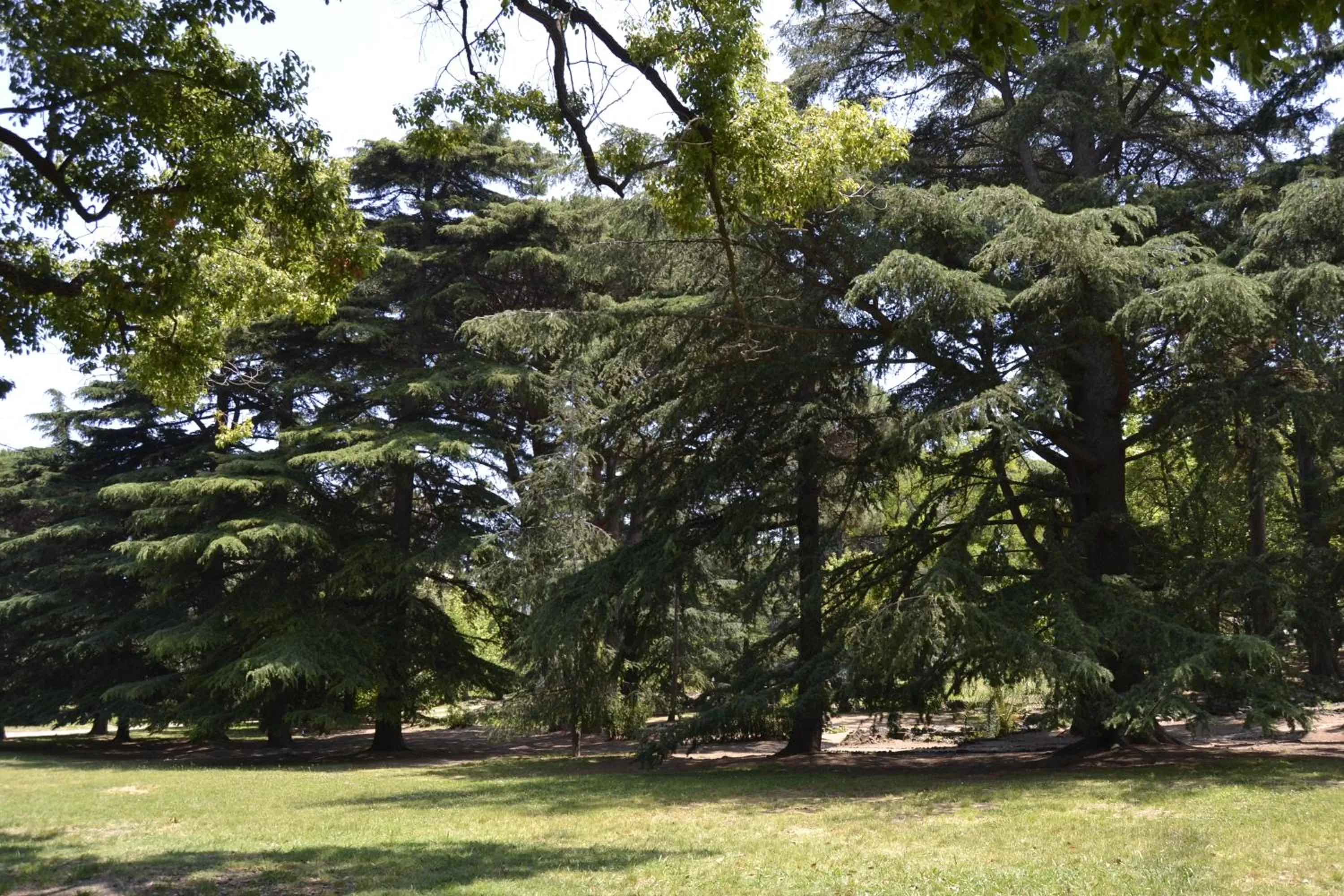 GLEM rooms & breakfast