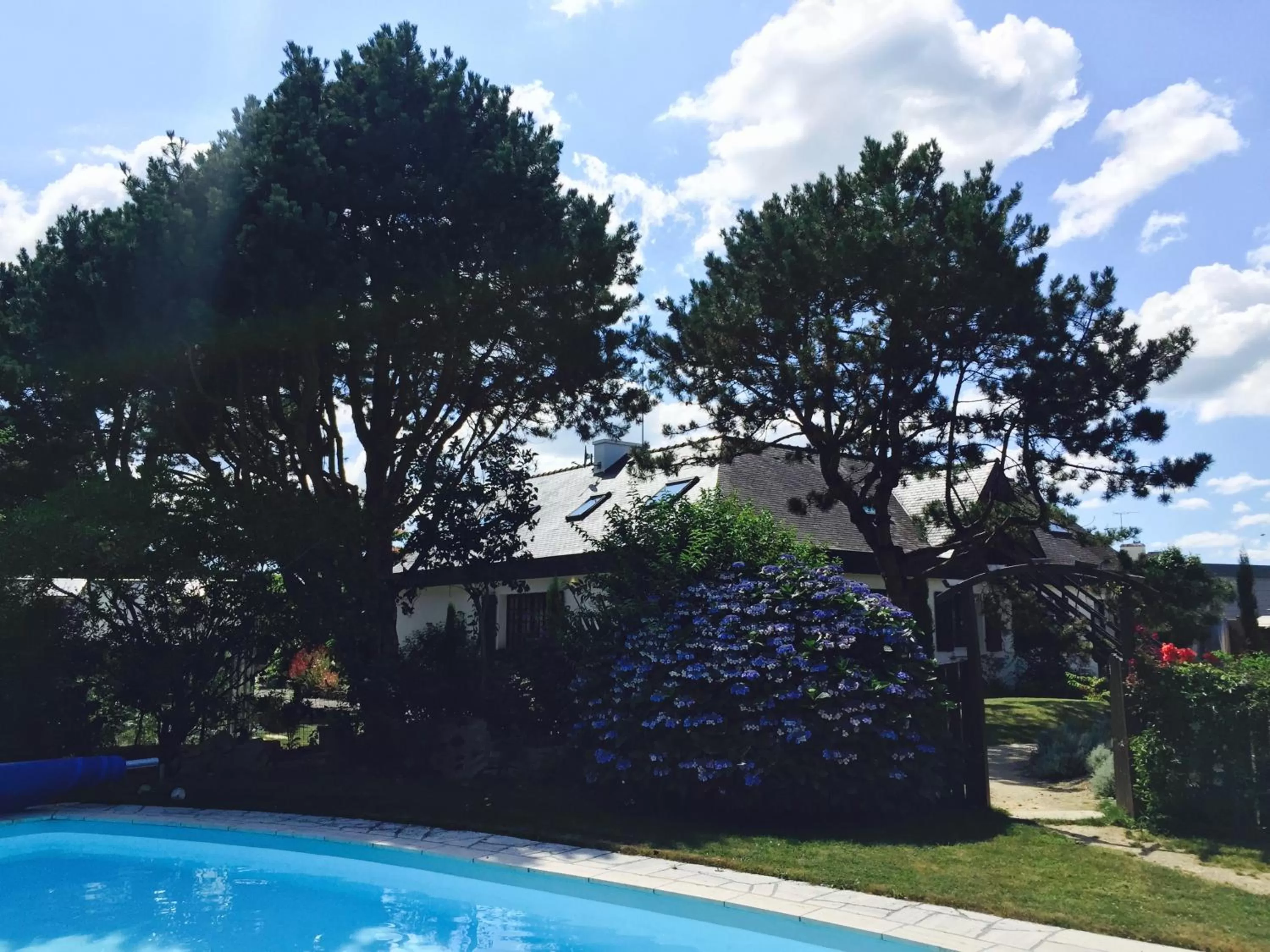 Pool view in La Dolce Vita