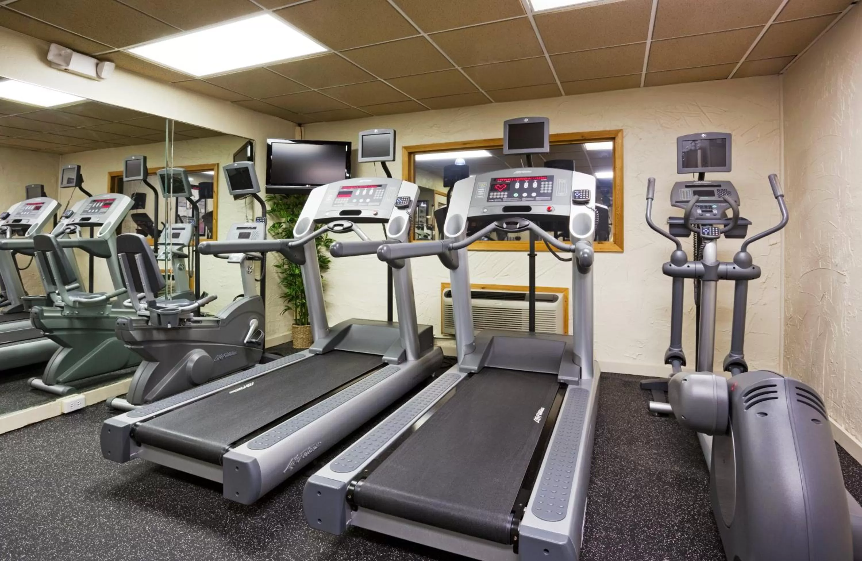 Fitness centre/facilities in Holiday Inn Alexandria by IHG