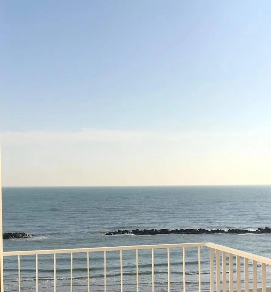 Hotel Alexander Museum Palace