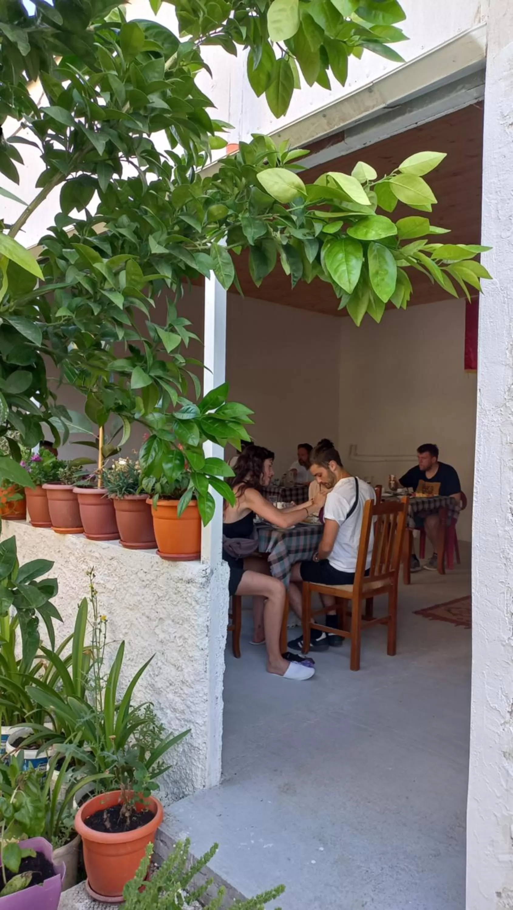 Restaurant/Places to Eat in Villa Oasis