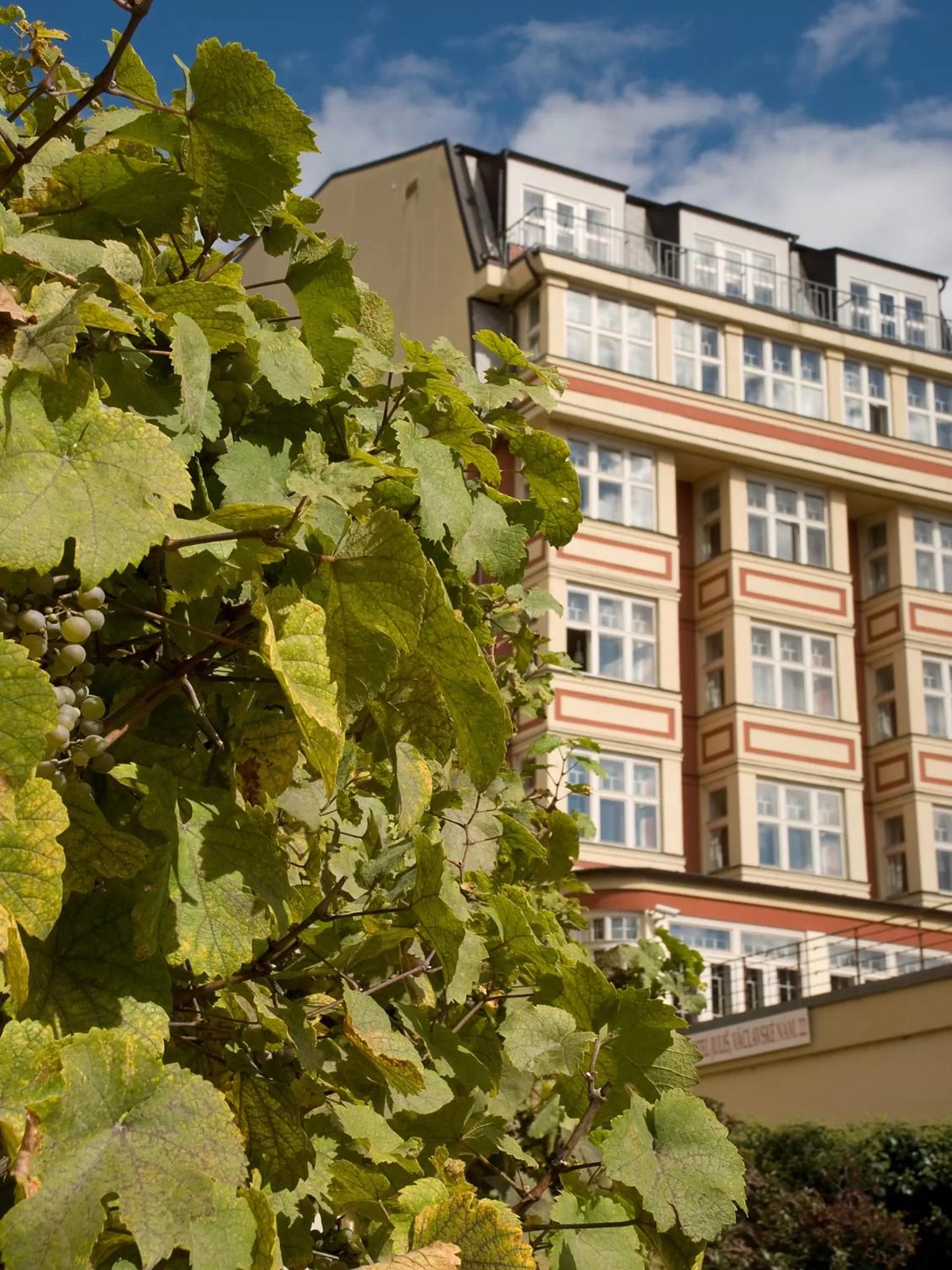 Property building in EA Hotel Julis