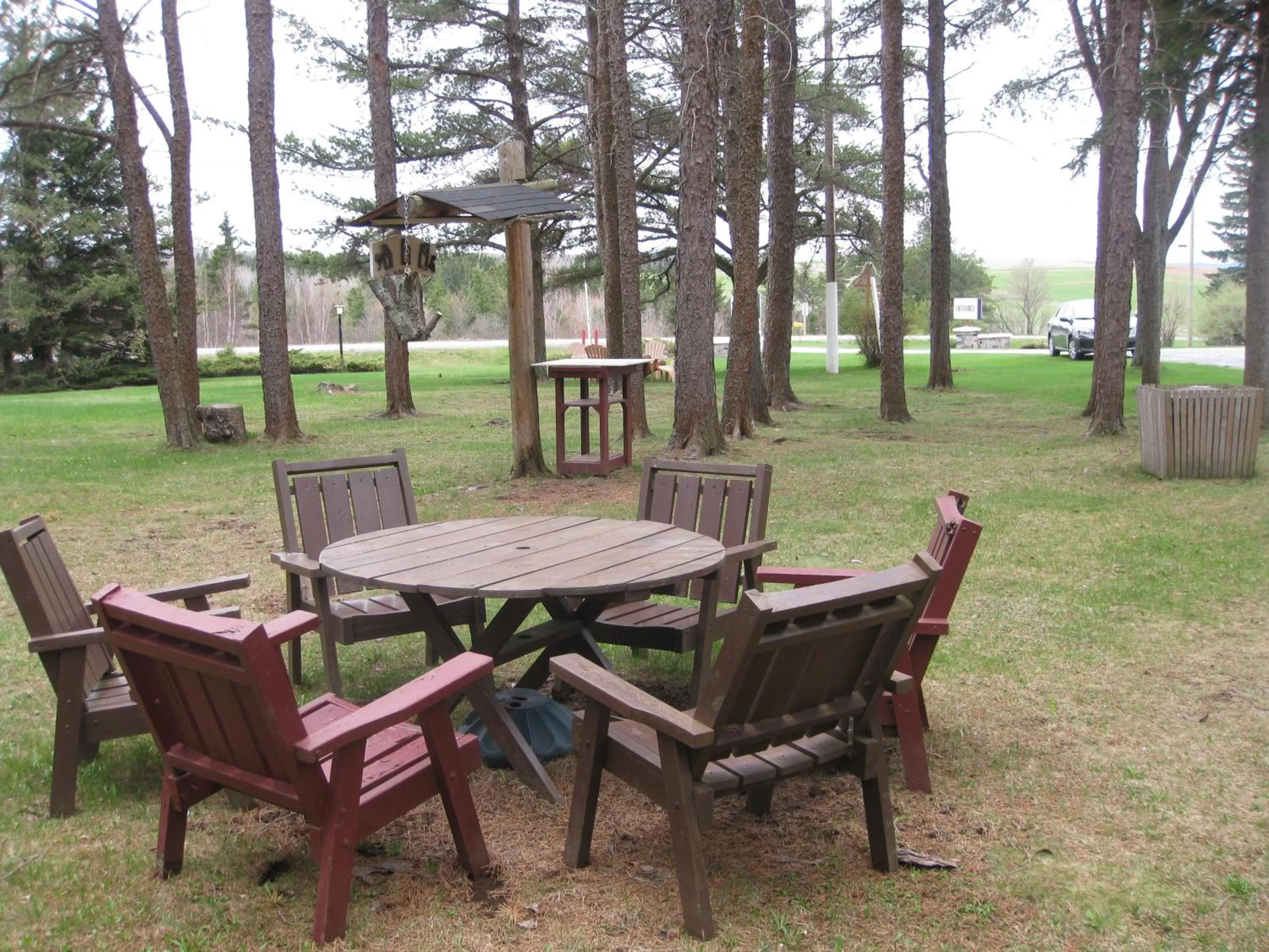 Day in Pinecone Motel