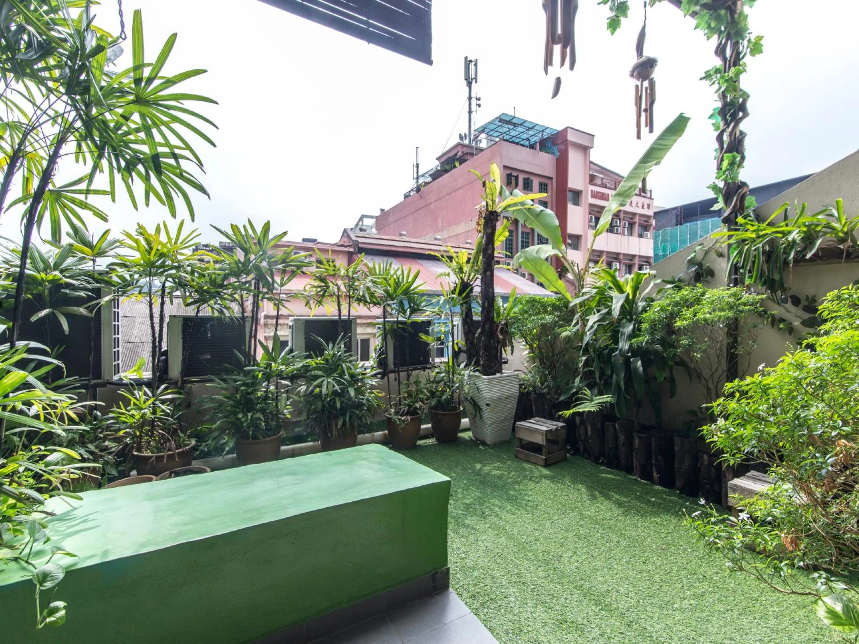 Garden in Rain Forest Hotel