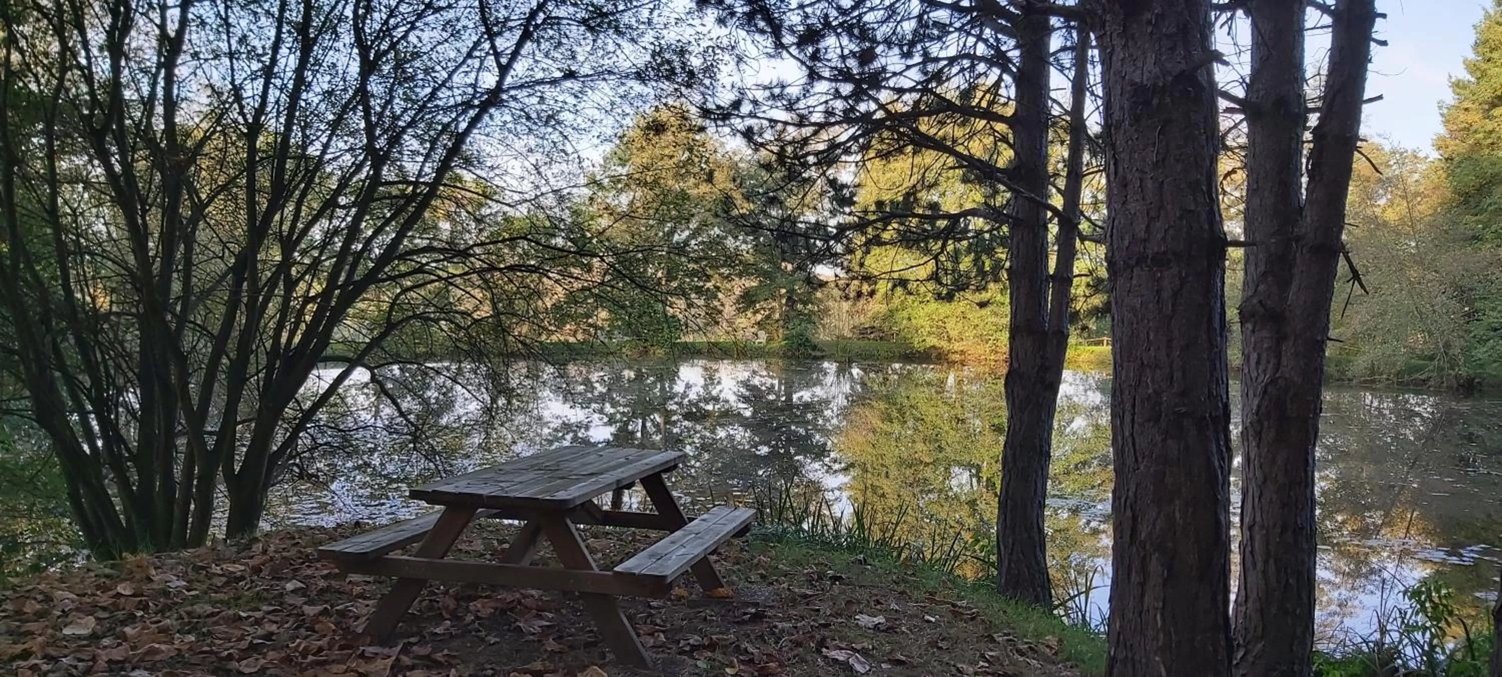 Lake view in Les Roulottes des Ris