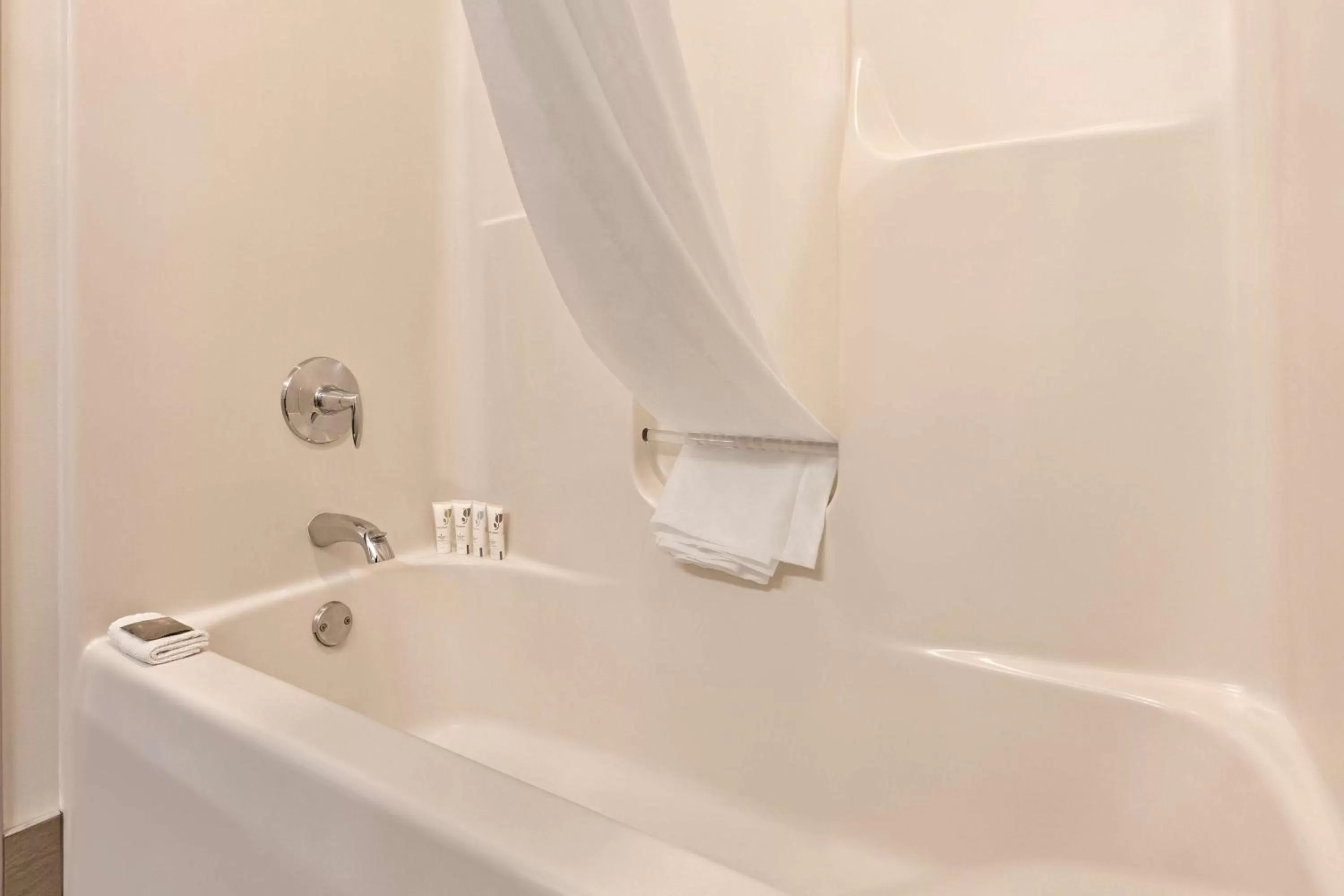 Premium One-Bedroom King Suite - Non-Smoking in Country Inn & Suites by Radisson, Madison, WI