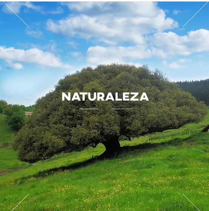 Spring in Hotel Garaiko Landetxea