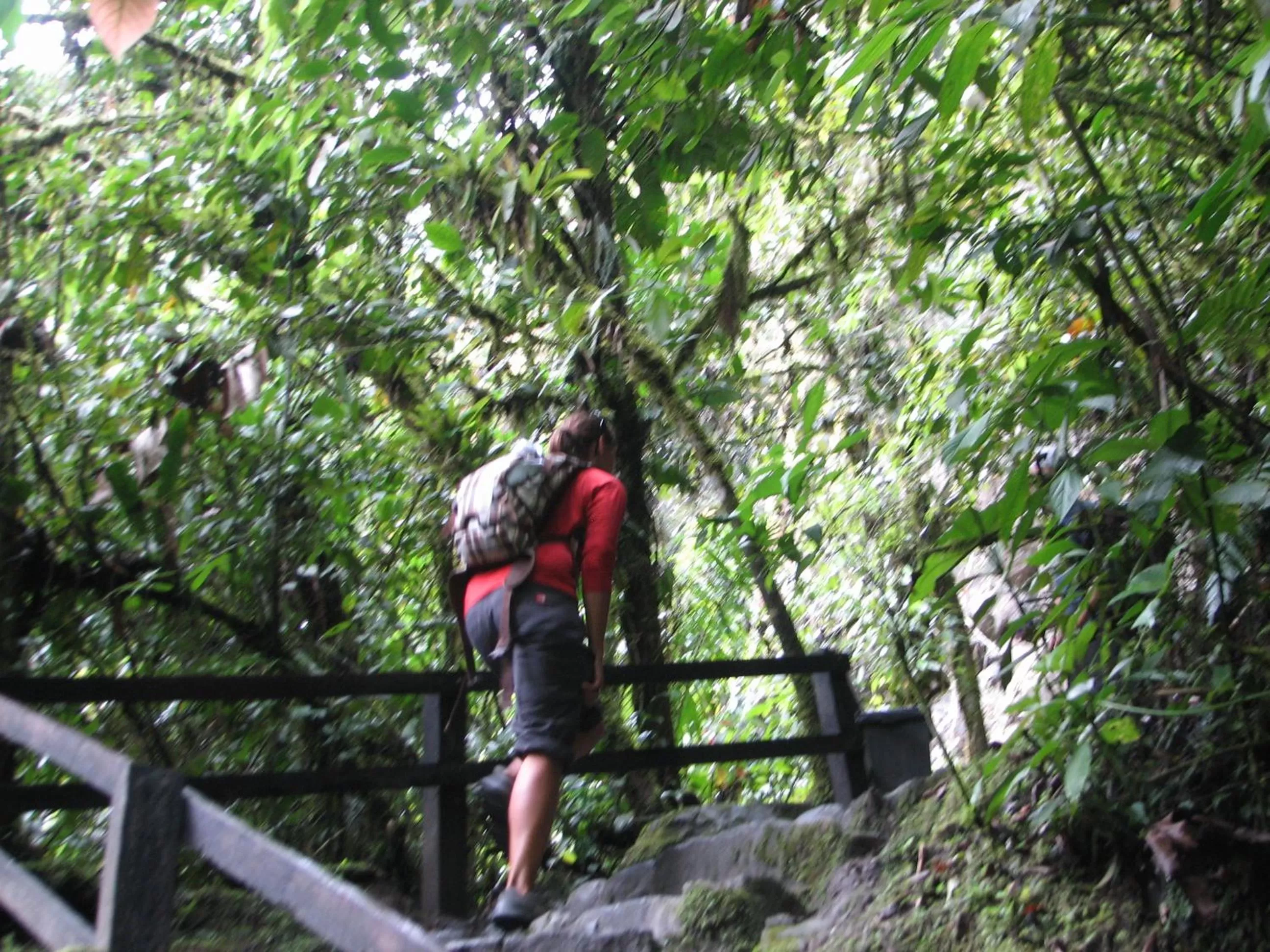 Garden, Guests in Spa Hosteria Miramelindo