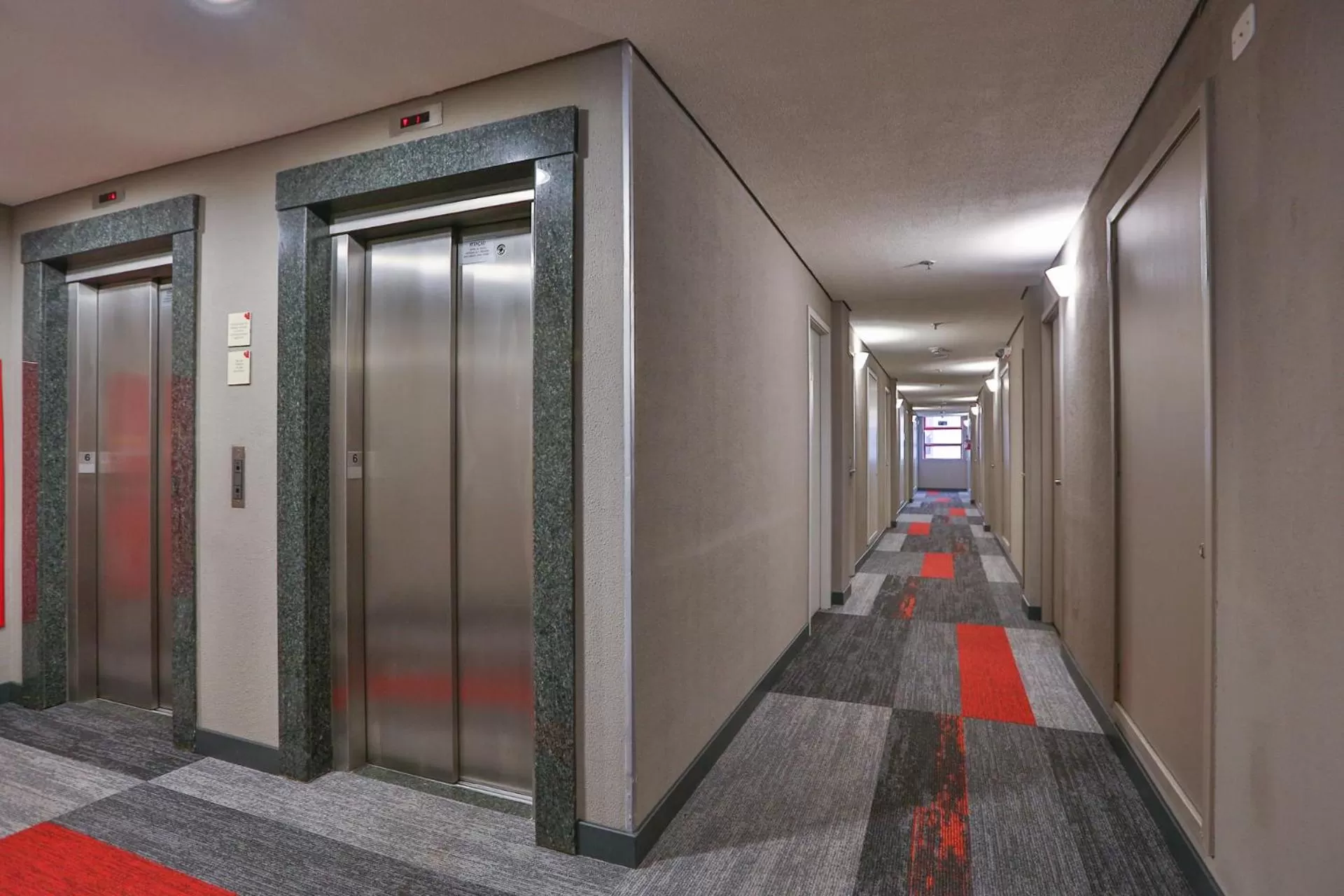 Other in Ibis Maringa