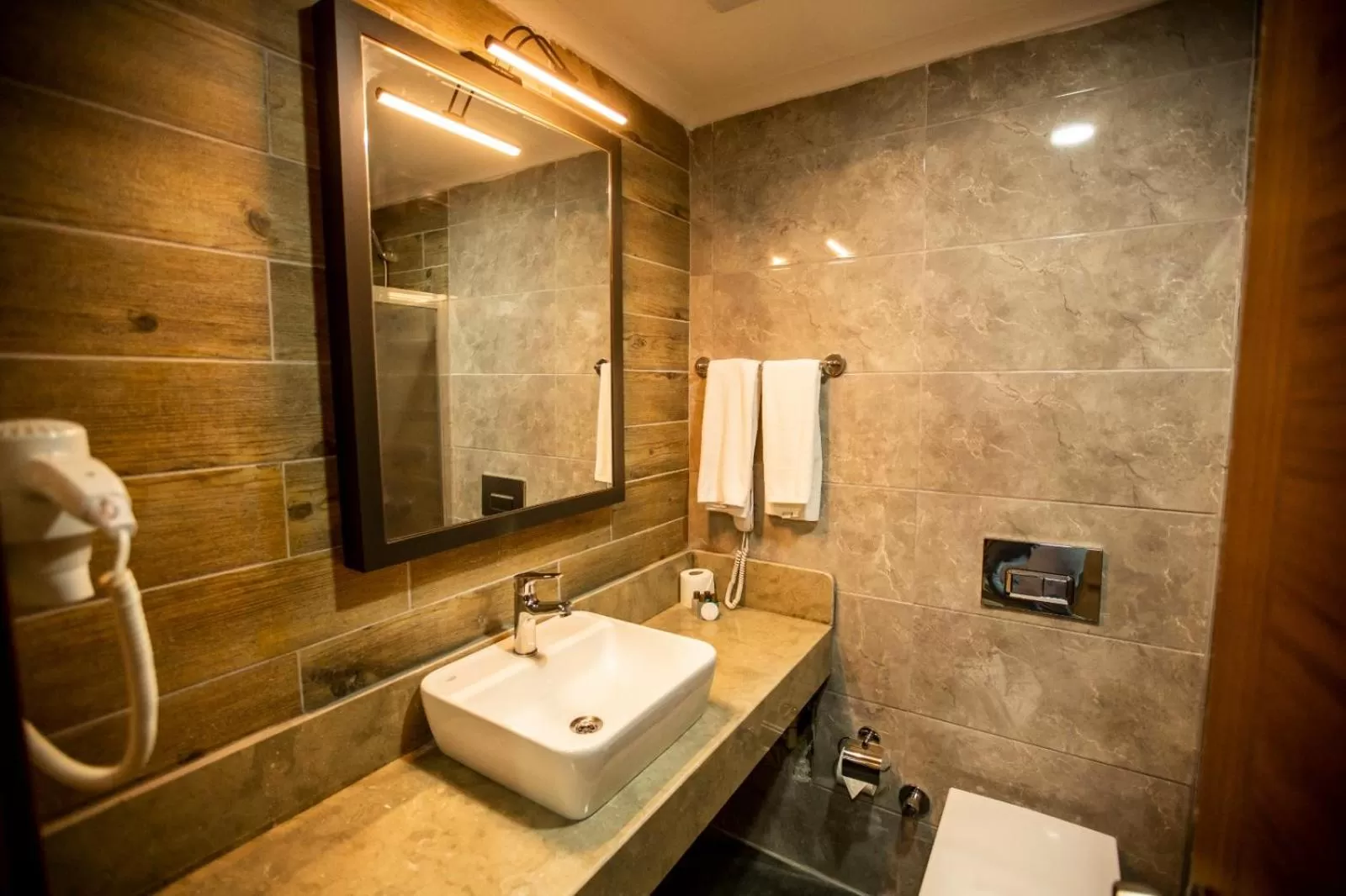 Toilet in KAYA GARDEN SİDE pansiyon