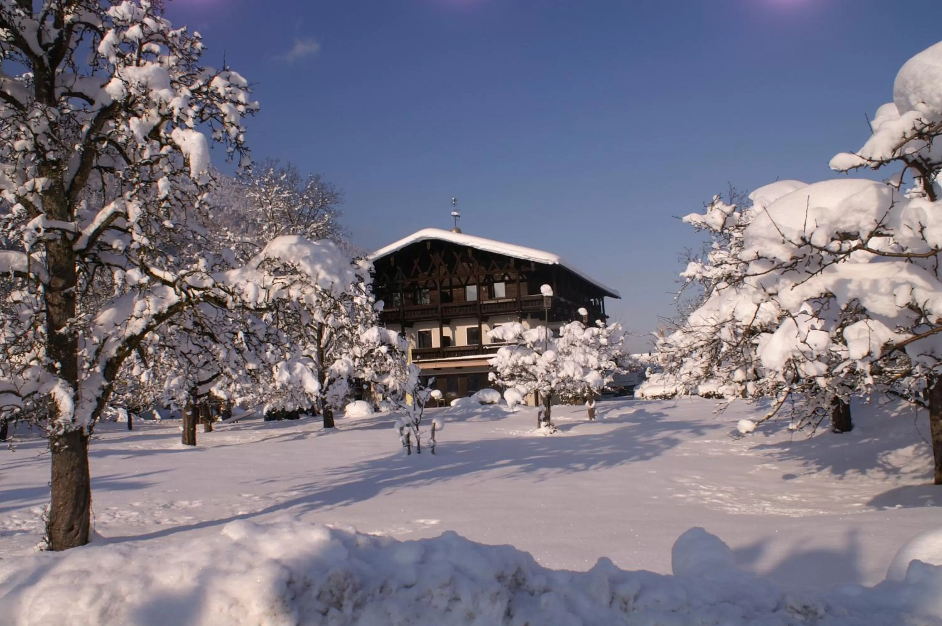 Winter in Alpenhof Landhotel Restaurant
