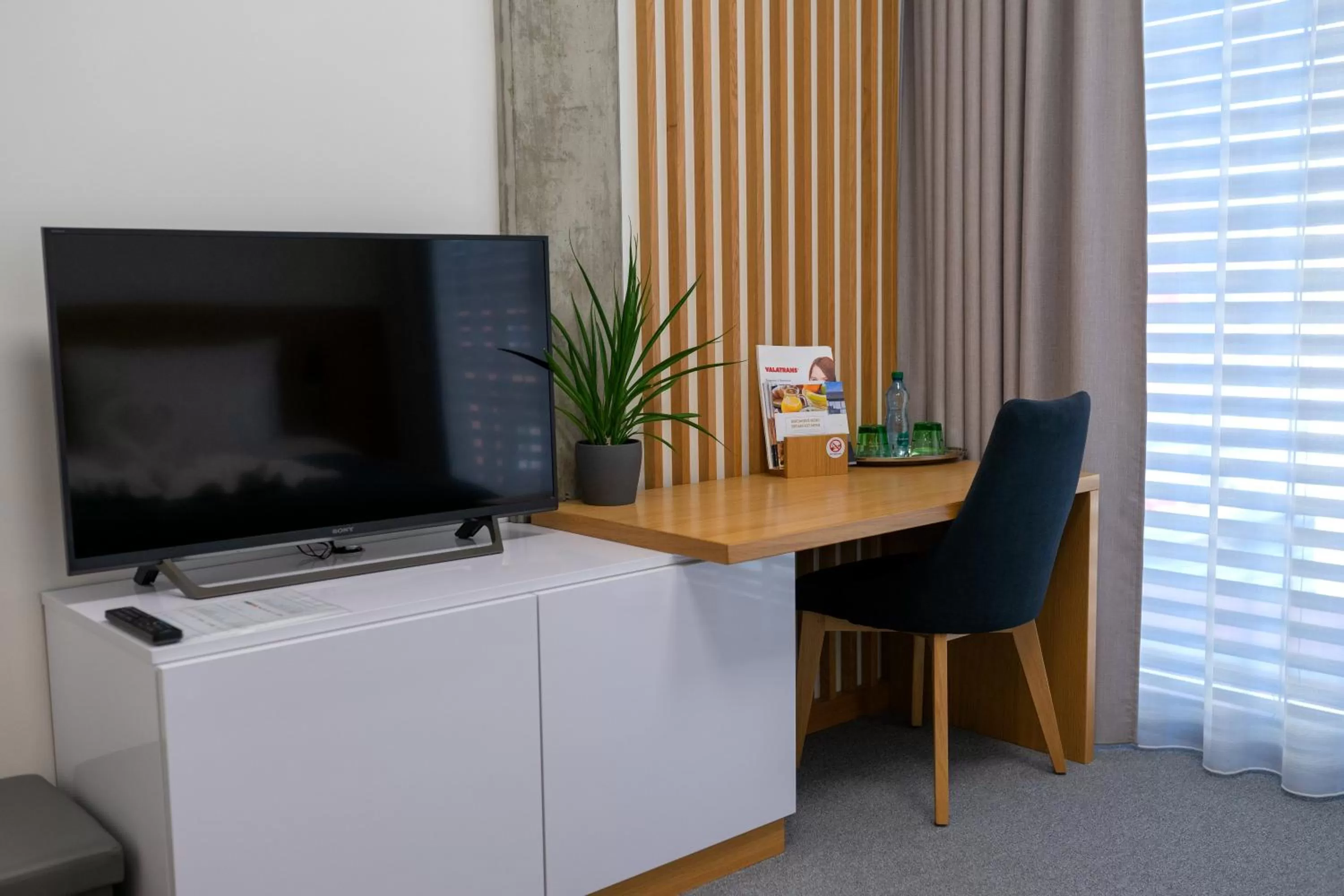 TV/Entertainment Center in Hotel Smetanova