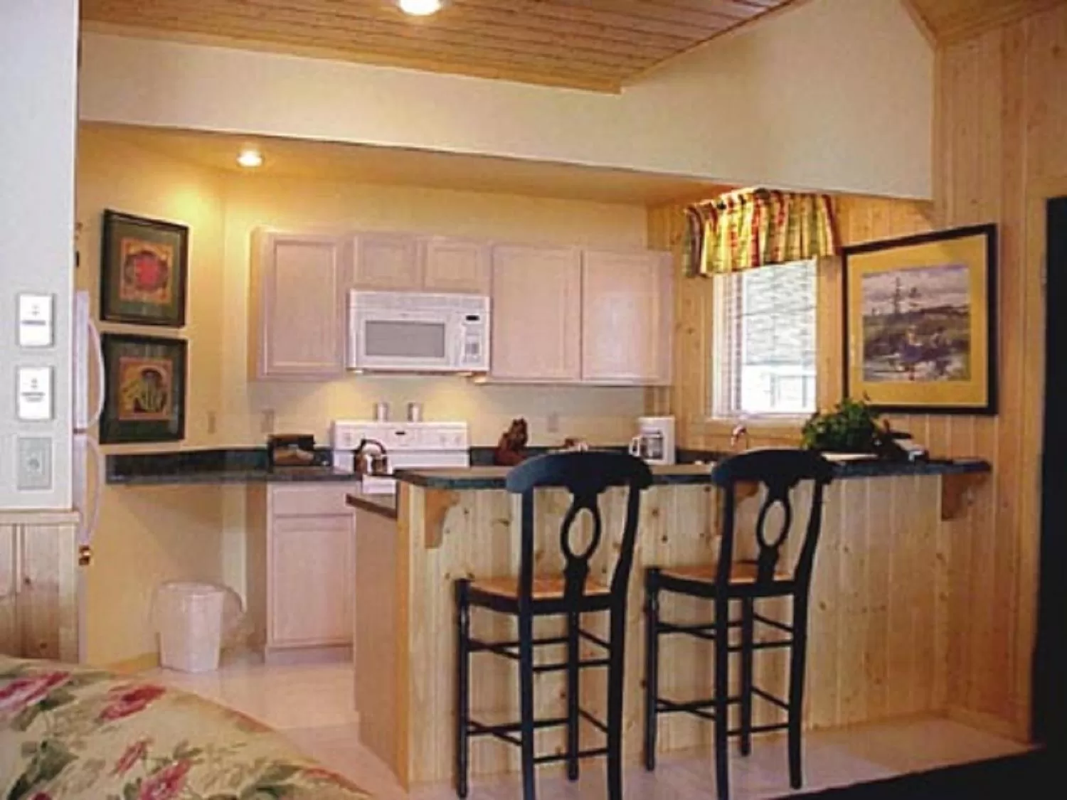 Kitchen or kitchenette in Drummond Island Resort