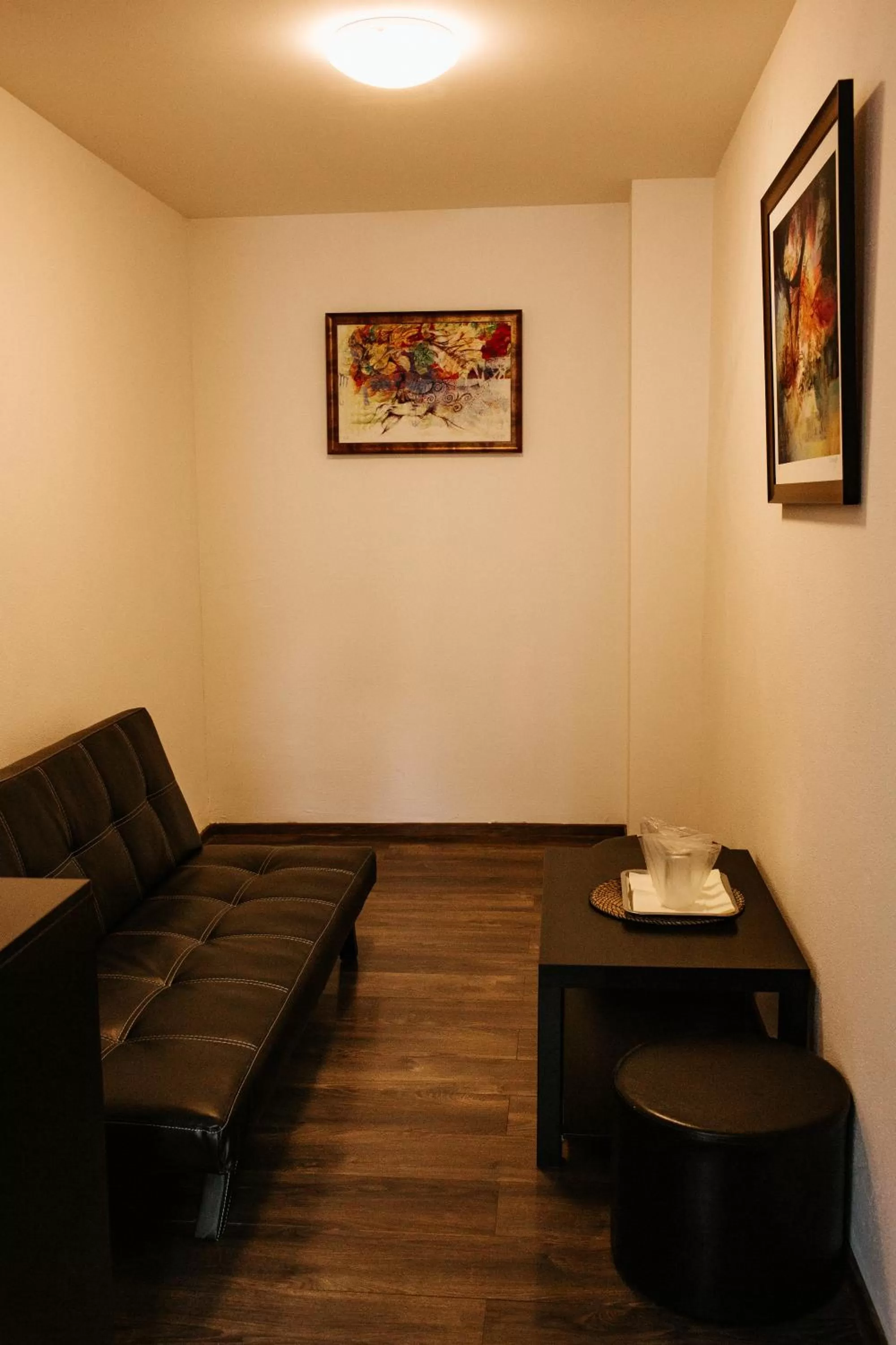 Living room in Pensiunea Pictorilor