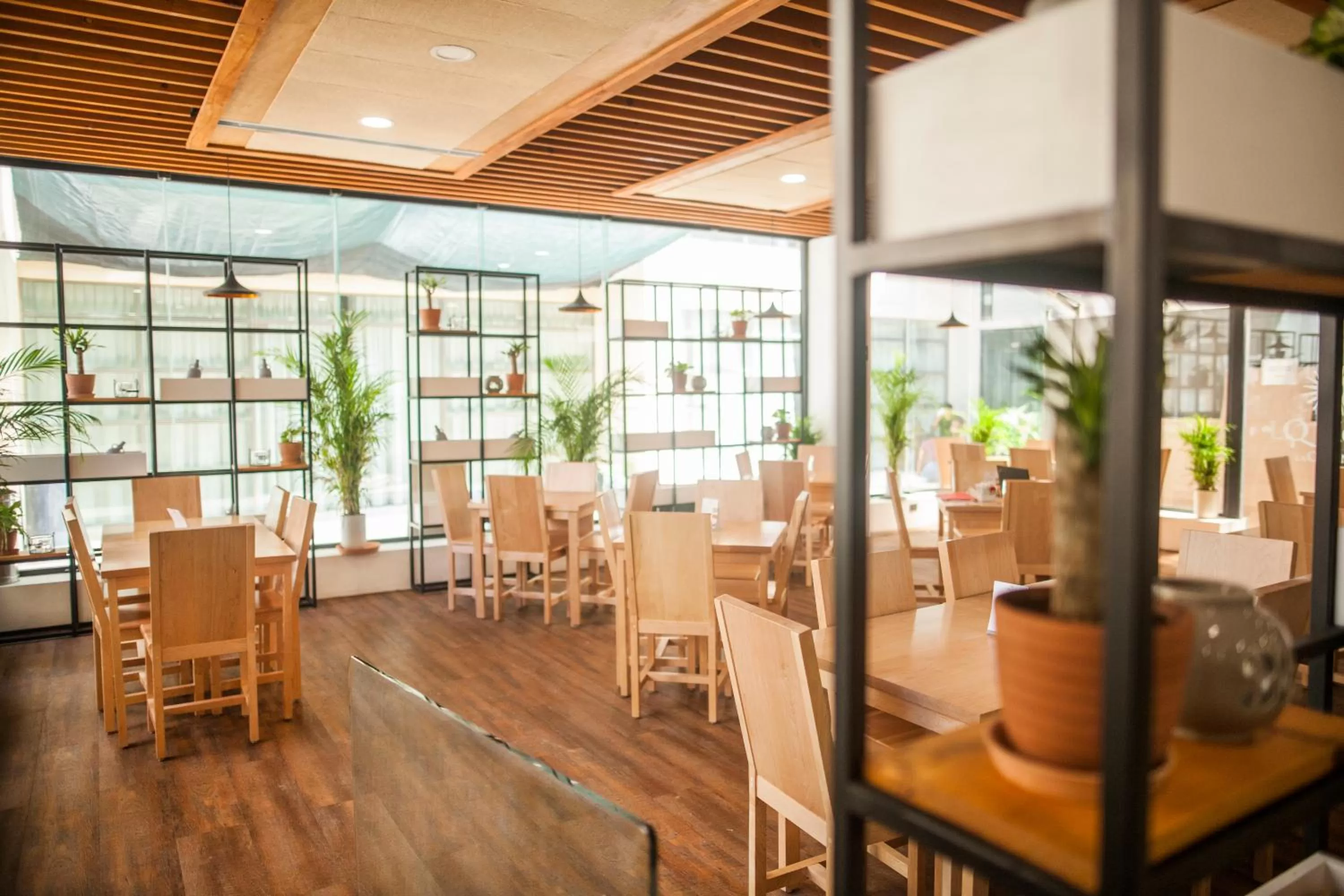 Restaurant/places to eat in Wyndham Garden Cancun Downtown