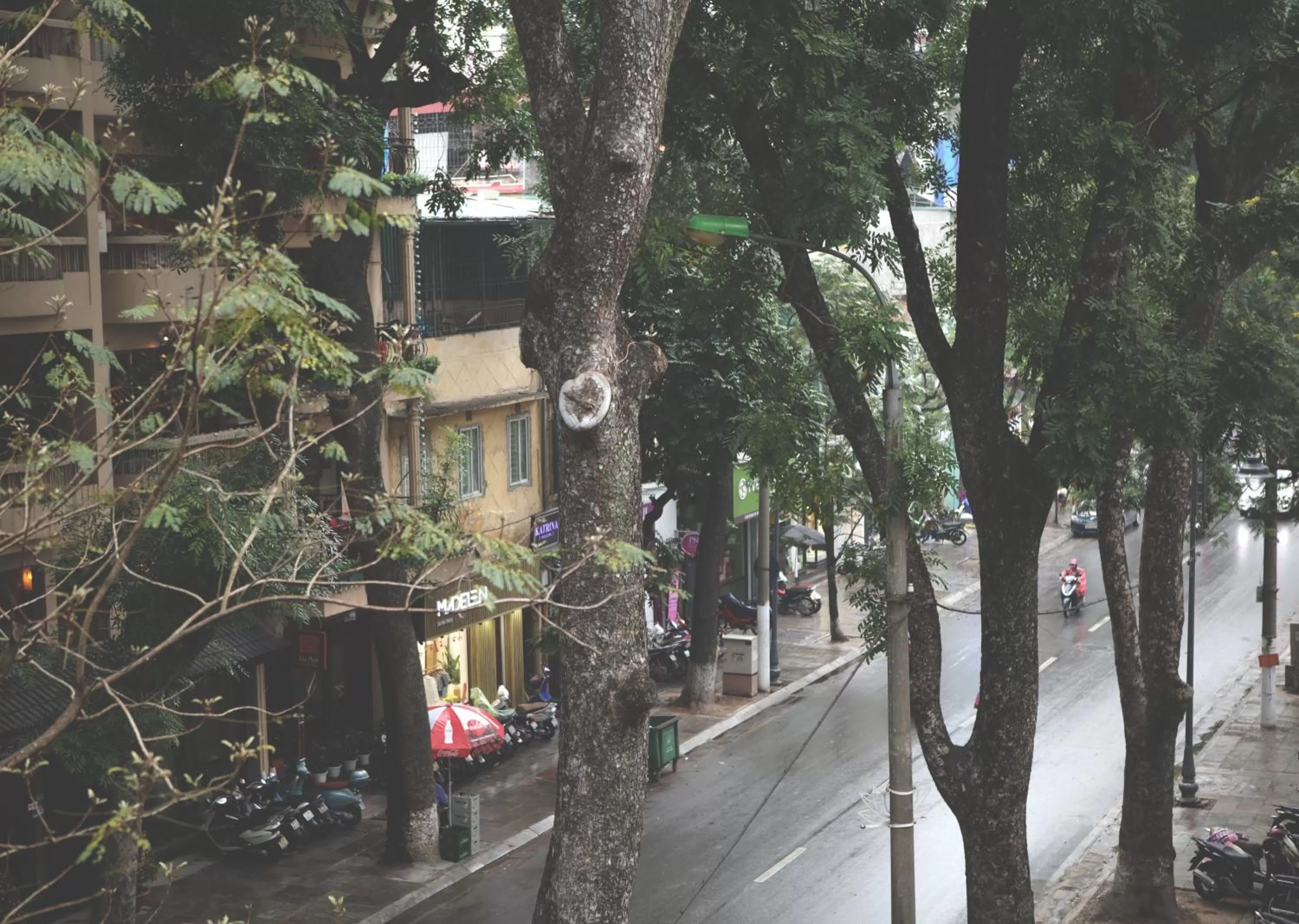 Garden in The First Ba Trieu Ha Noi