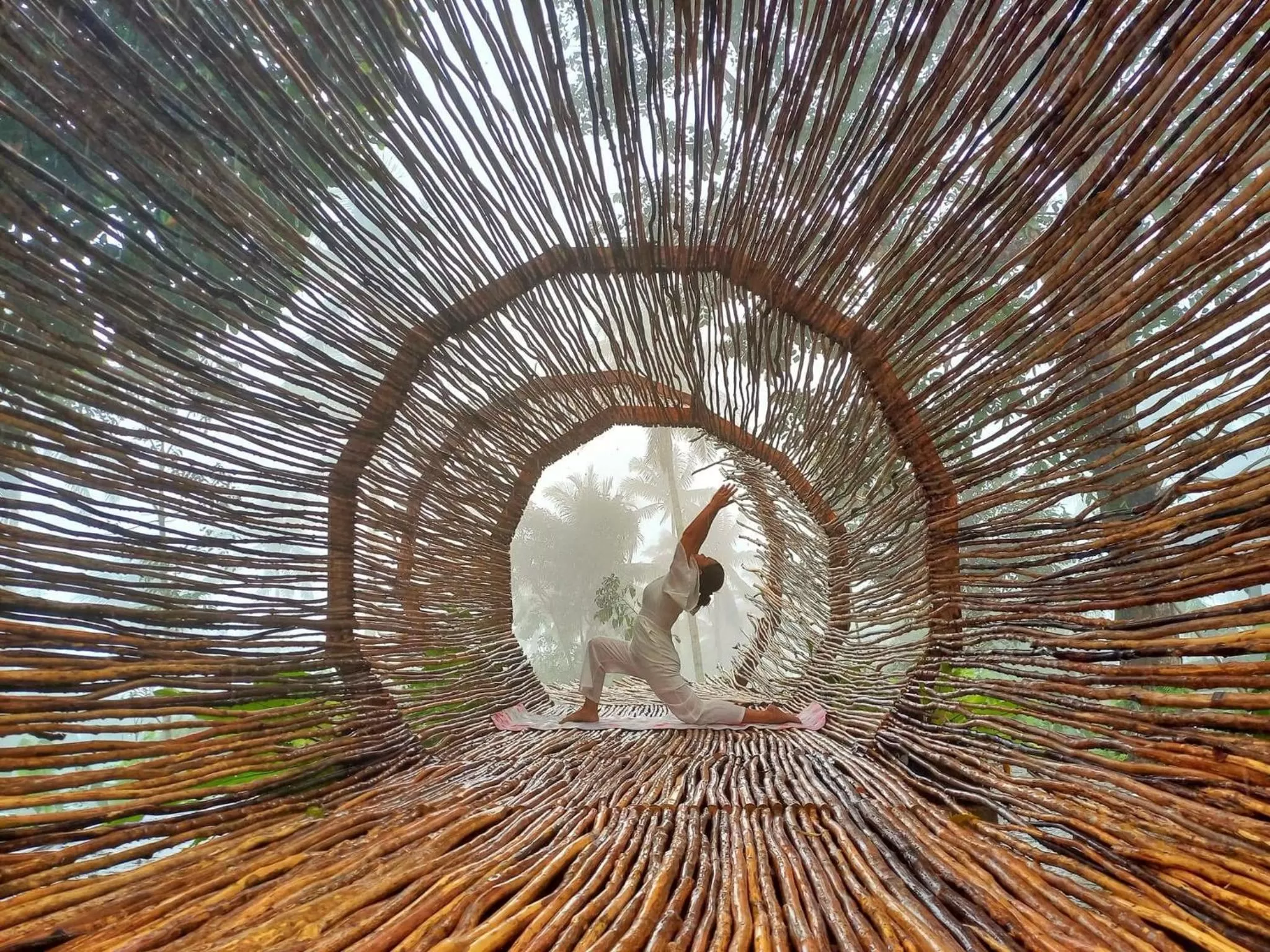 Other Animals in Bintana sa Paraiso Binunsaran