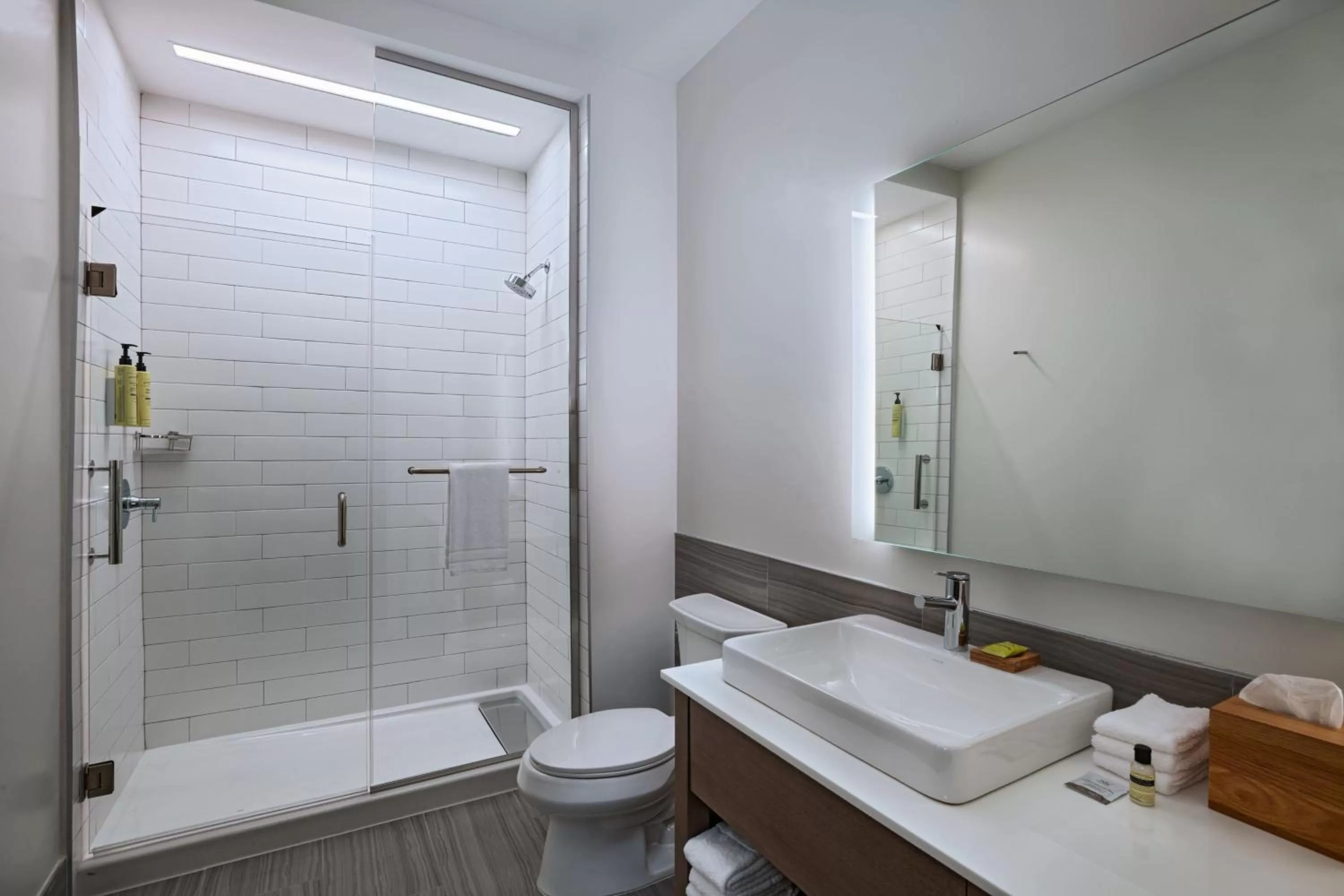 King Studio with Sofa Bed - Hearing Accessible in Element Waco