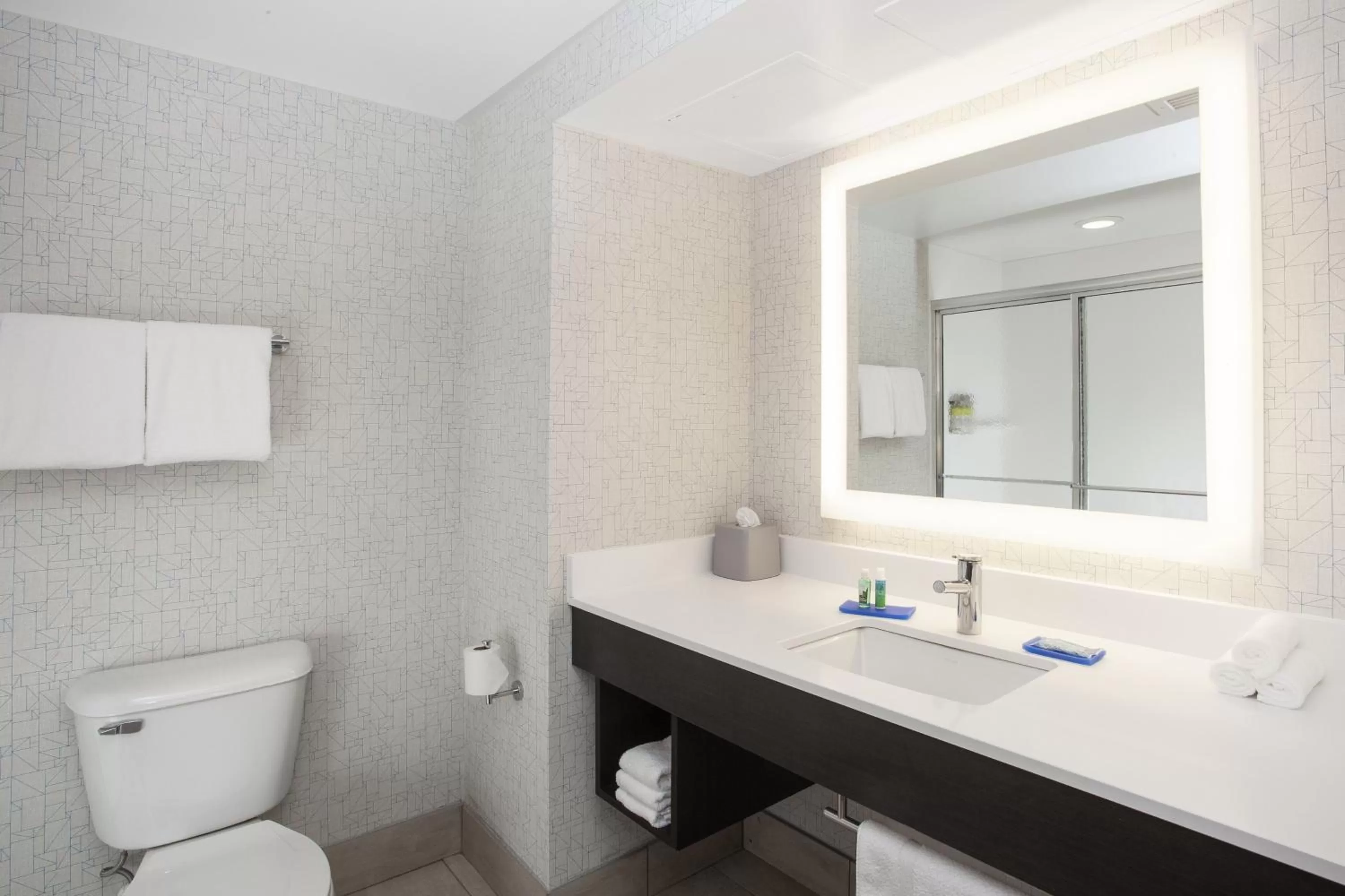 Bathroom in Holiday Inn Express & Suites Culpeper by IHG