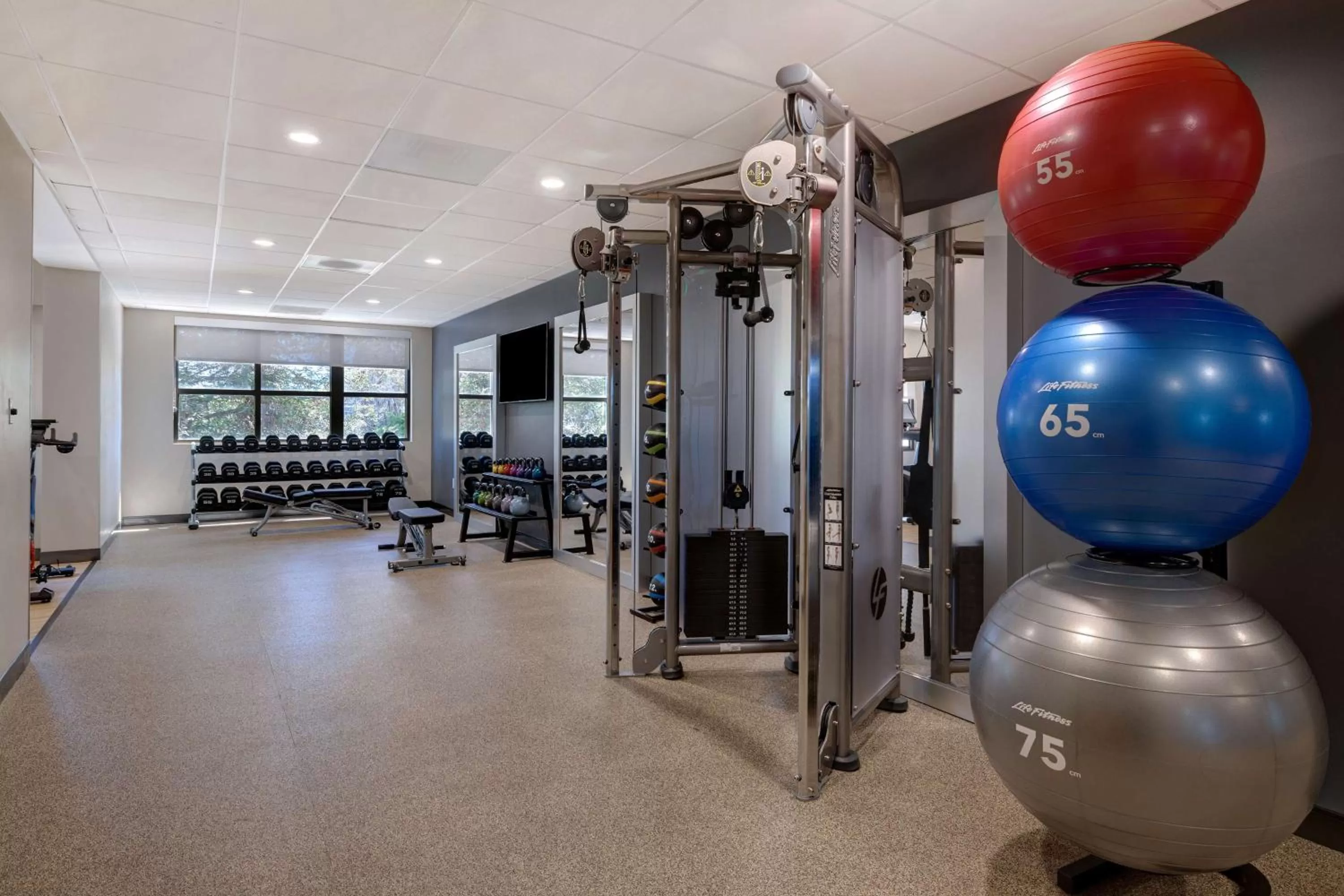 Fitness centre/facilities in Embassy Suites by Hilton Santa Clara Silicon Valley