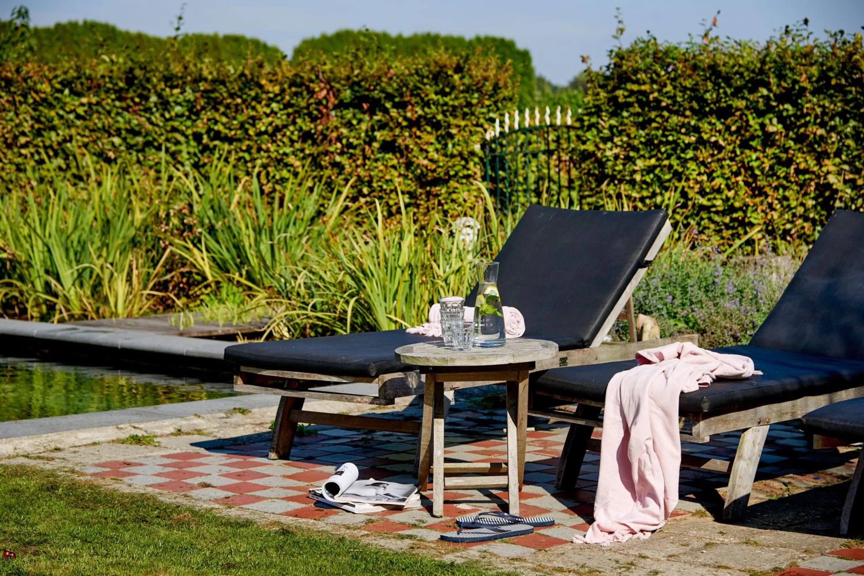 Swimming pool in Gasterie Lieve Hemel