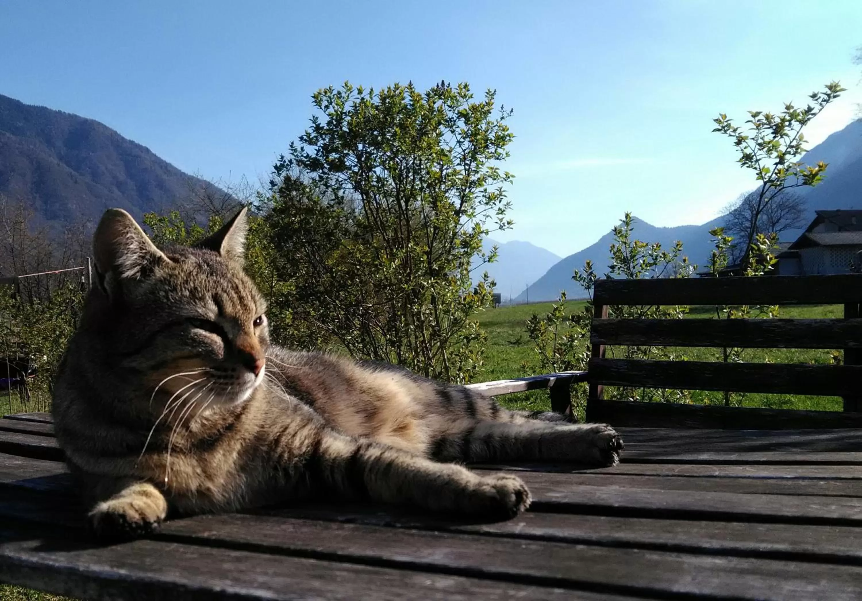 Natural landscape in Agritur Airone Bed & Camping