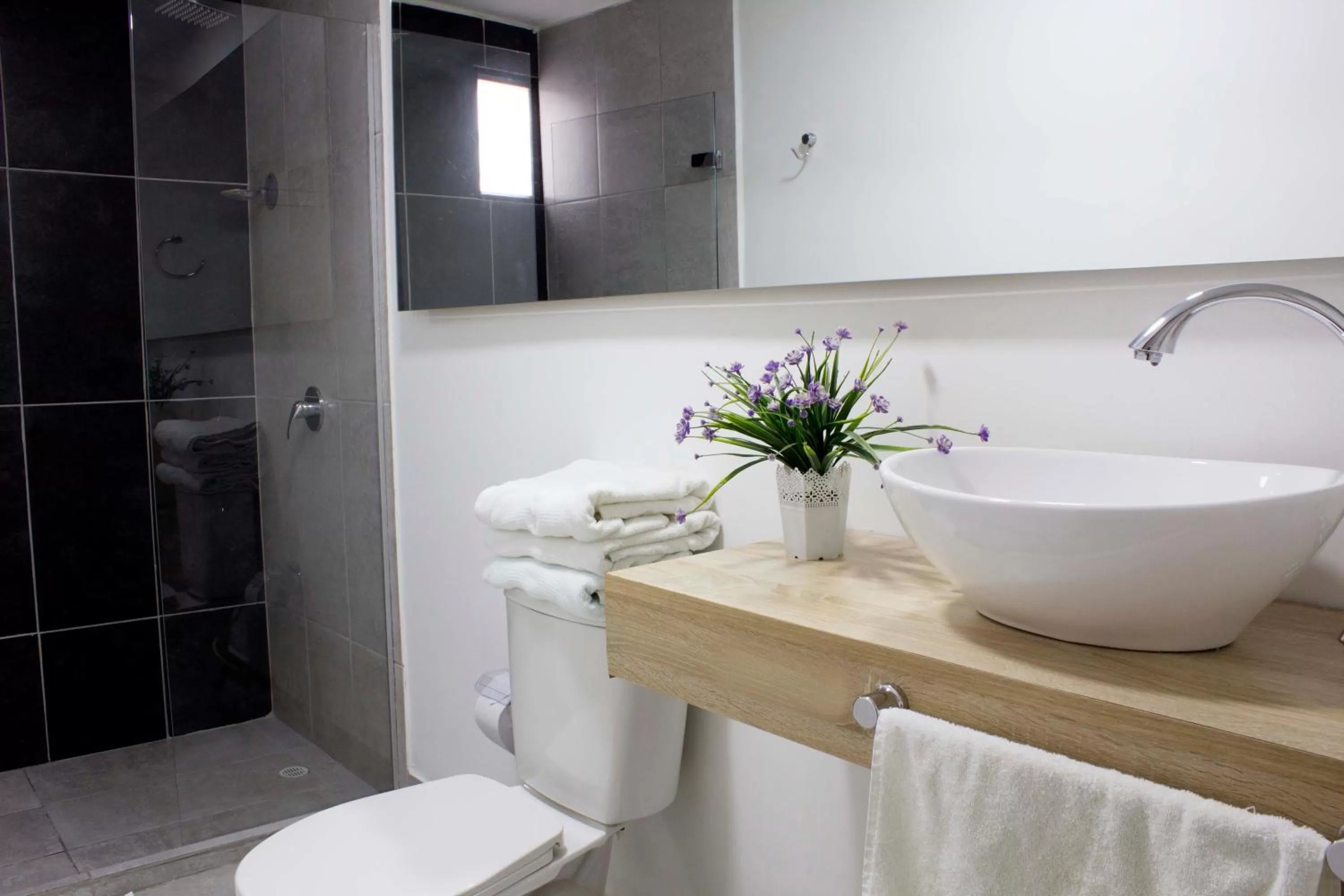 Bathroom in Hotel Boutique Plaza