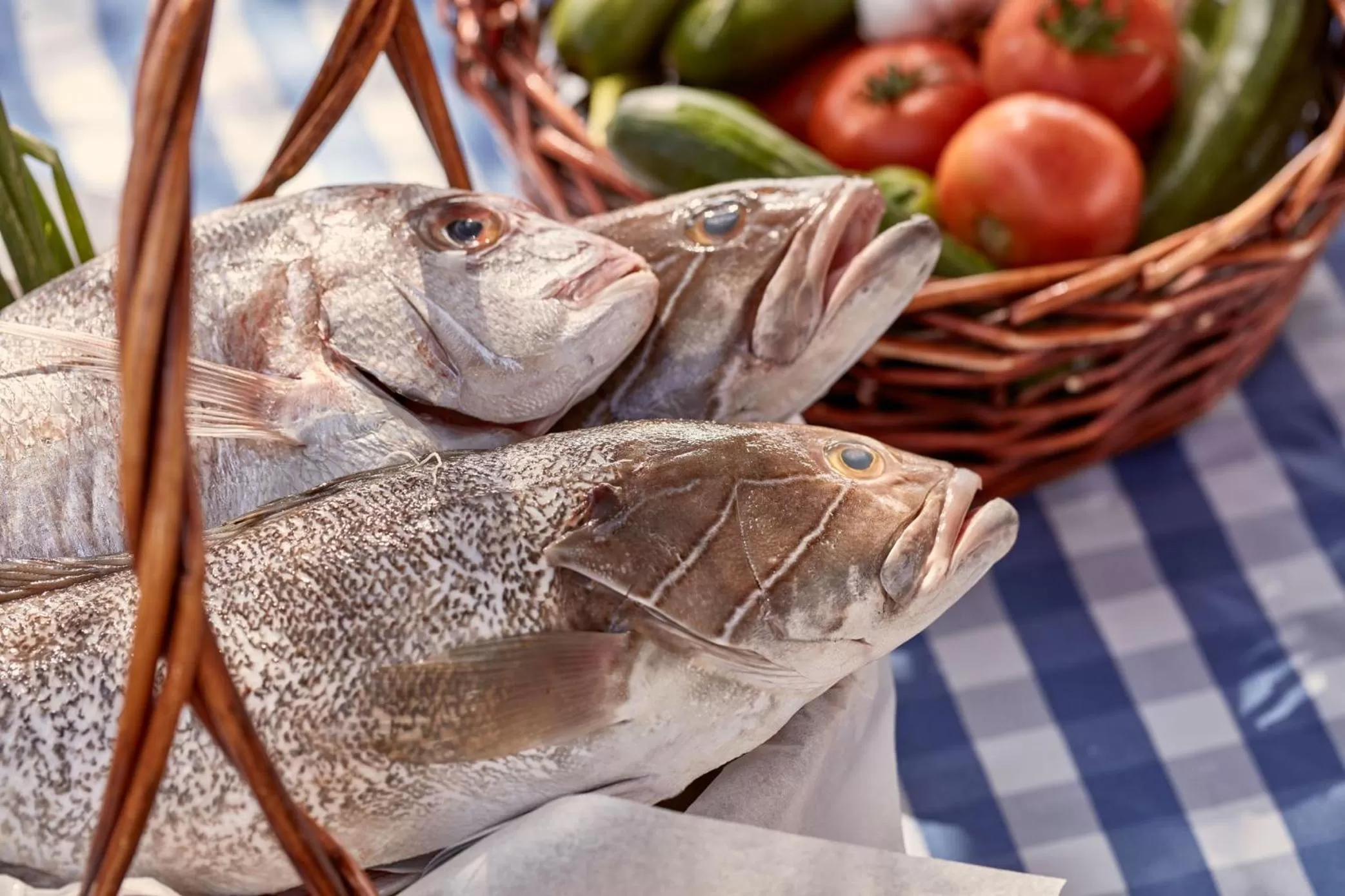 Food close-up in Grecian Bay