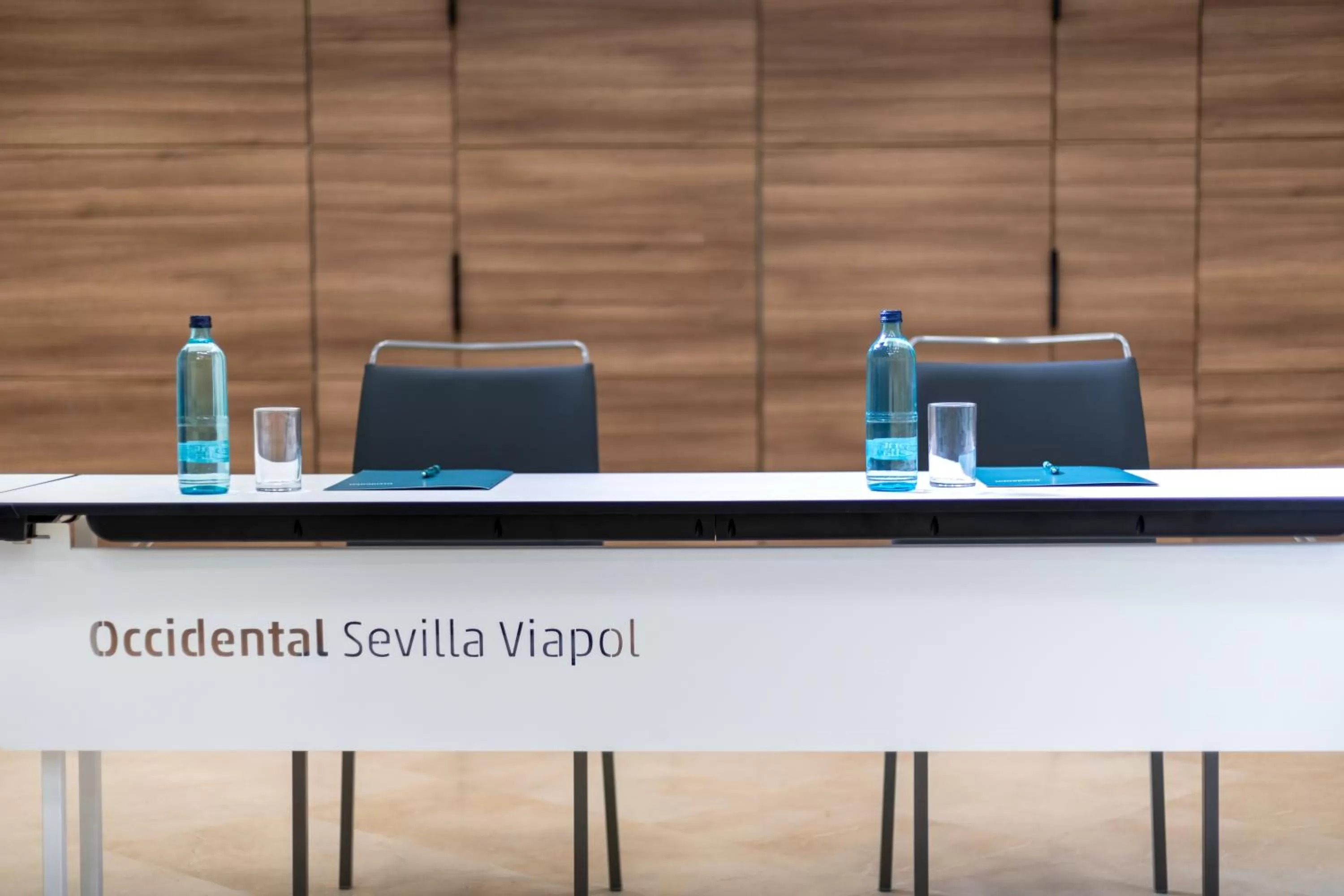 Business facilities in Occidental Sevilla Viapol