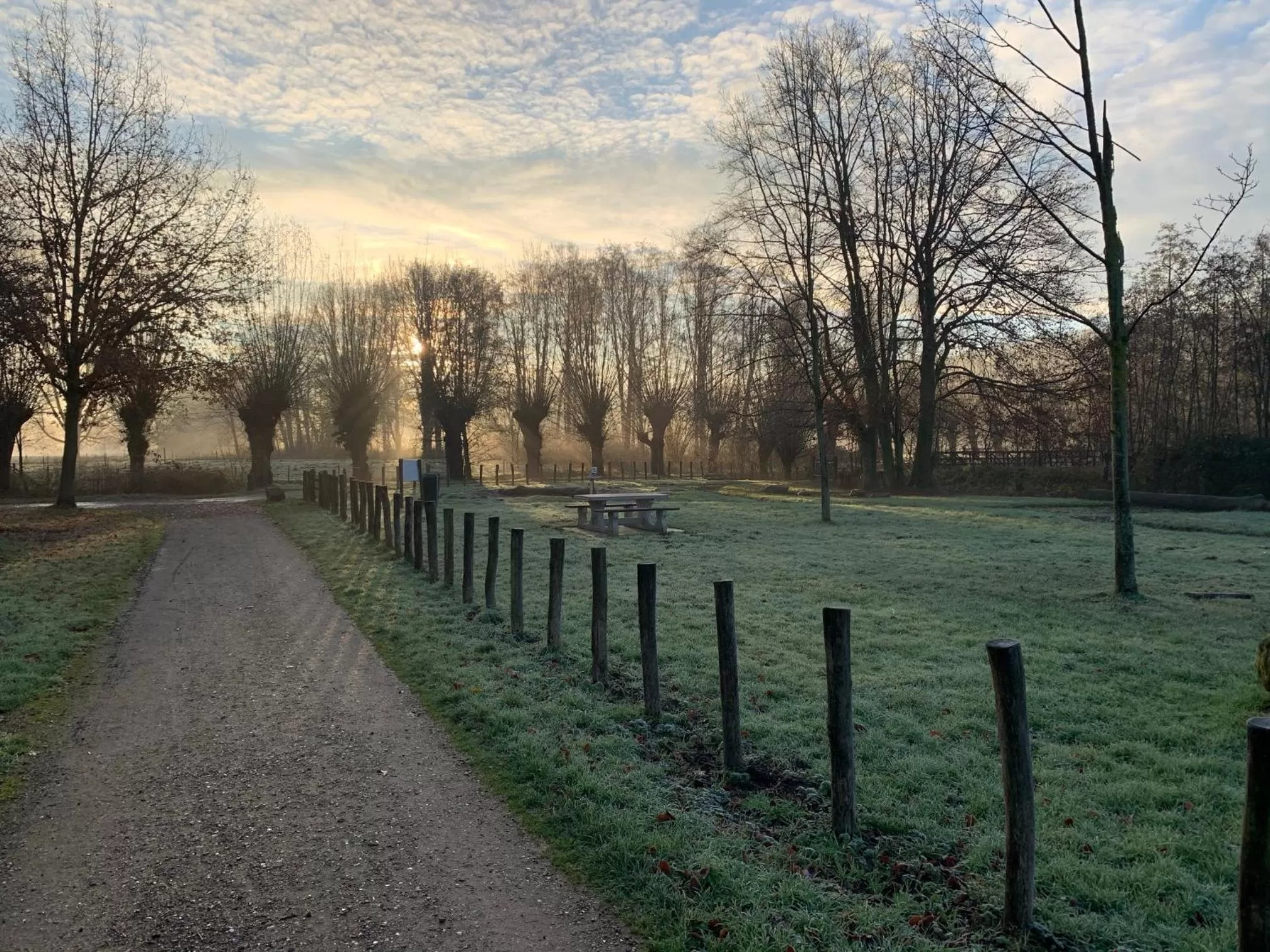Natural landscape in Hotel Atlanta
