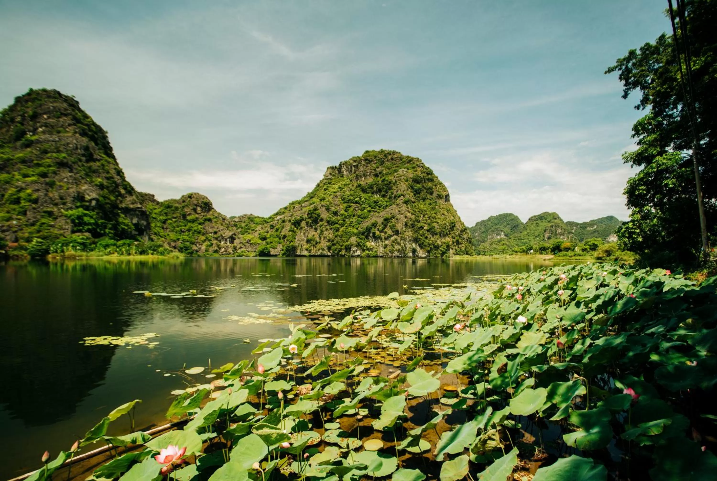 Natural landscape in Trang An Lotus Lake Homestay
